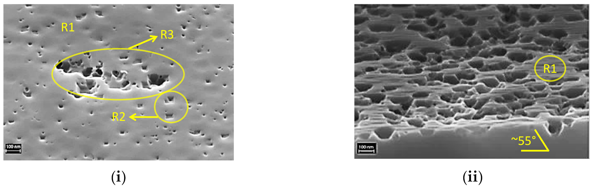 Nanomaterials 10 02214 g010 Nanomaterials 10 02214 g010