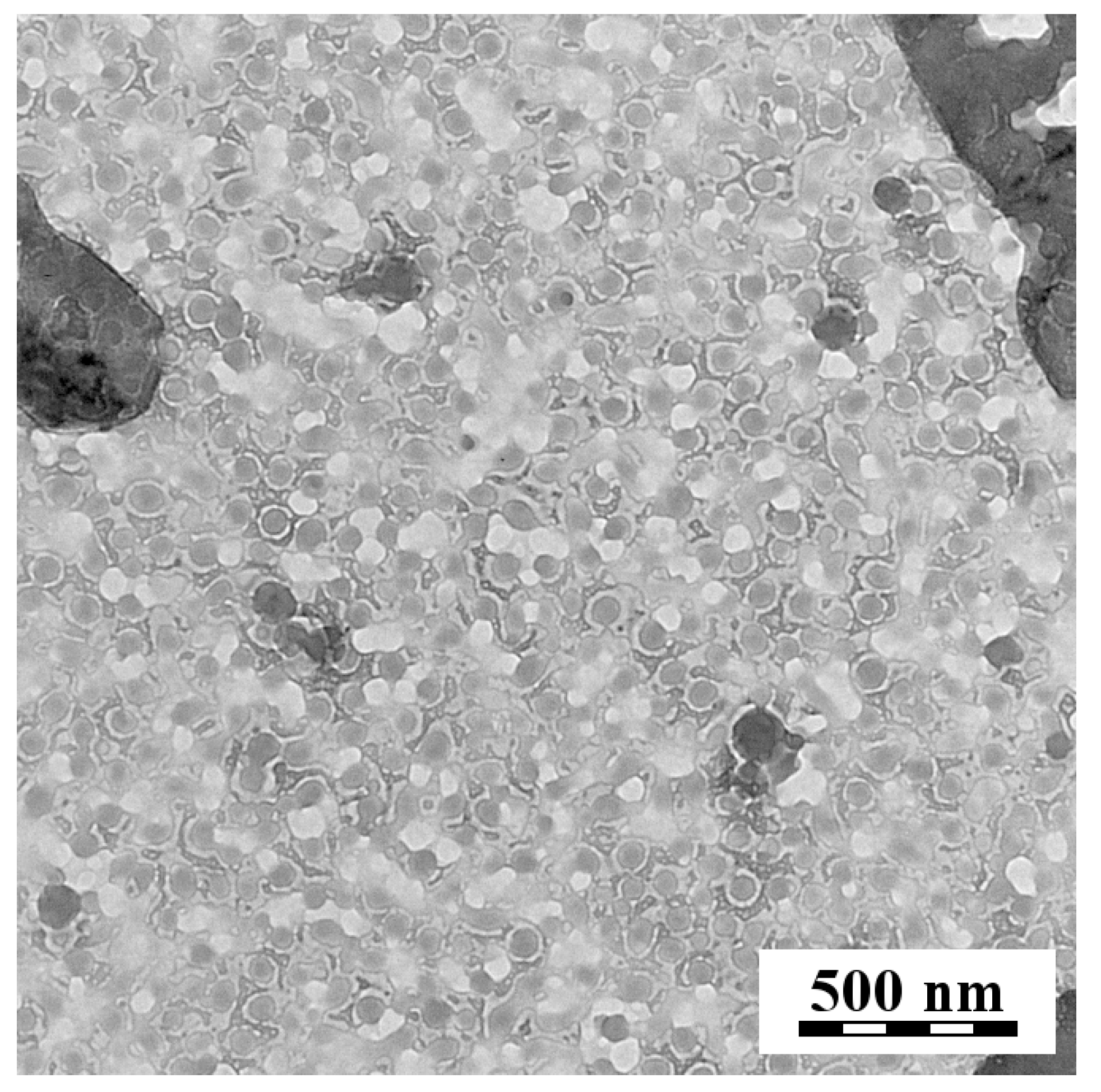 Nanomaterials 10 02231 g002