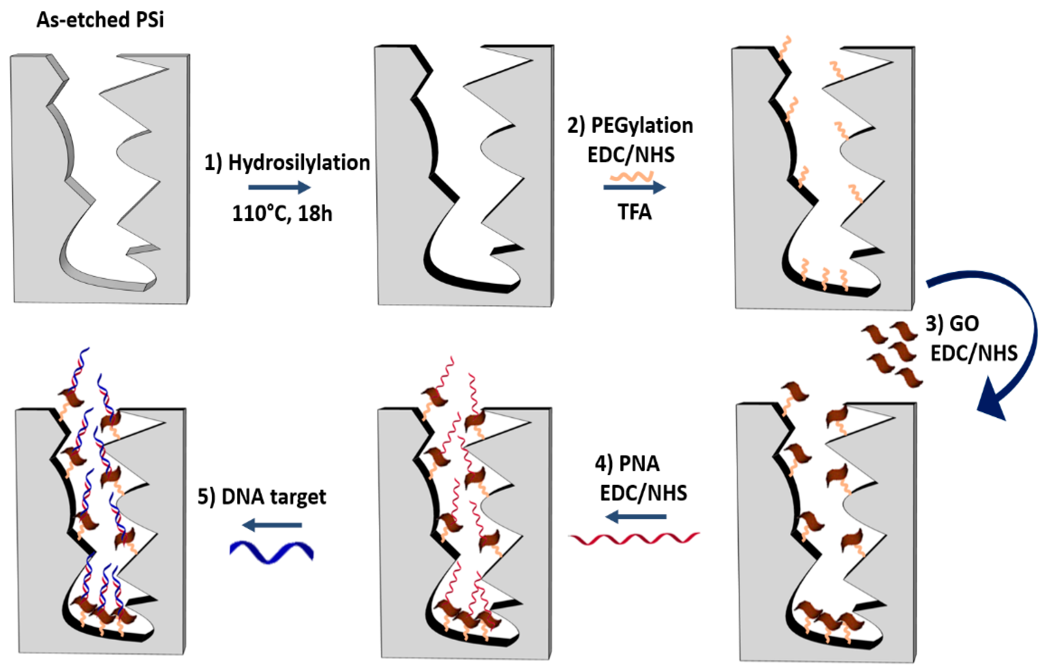 Nanomaterials 10 02233 g001