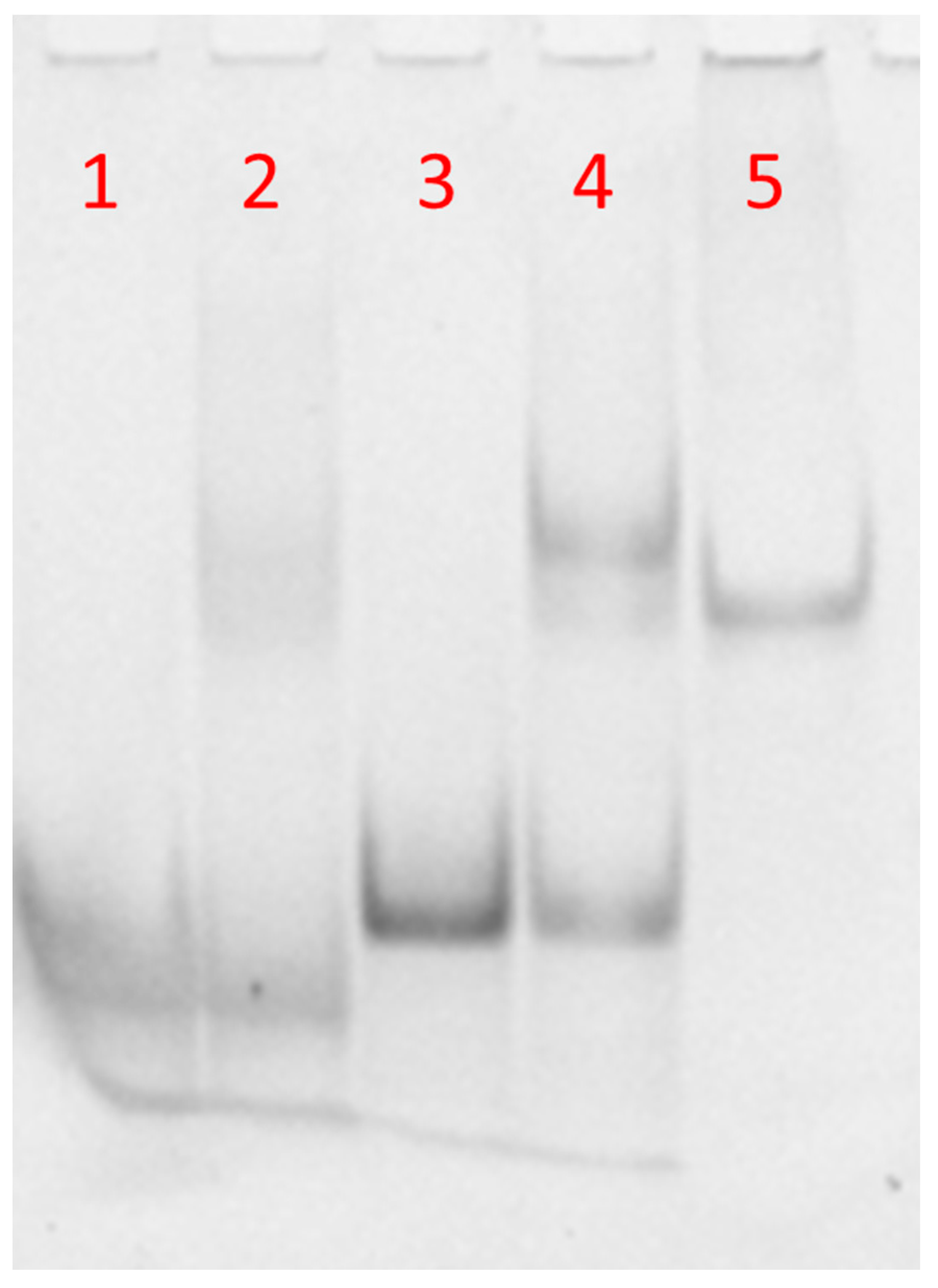 Nanomaterials 10 02233 g003