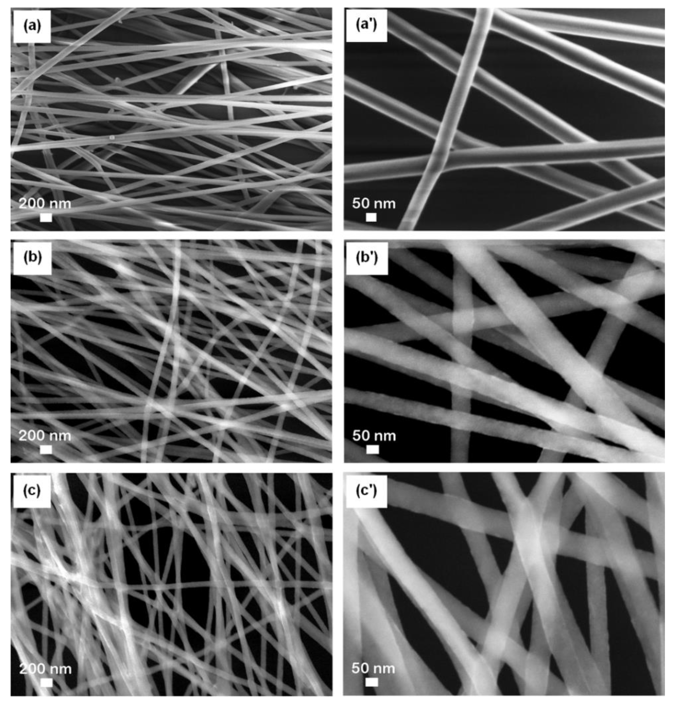 Nanomaterials 10 02241 g005