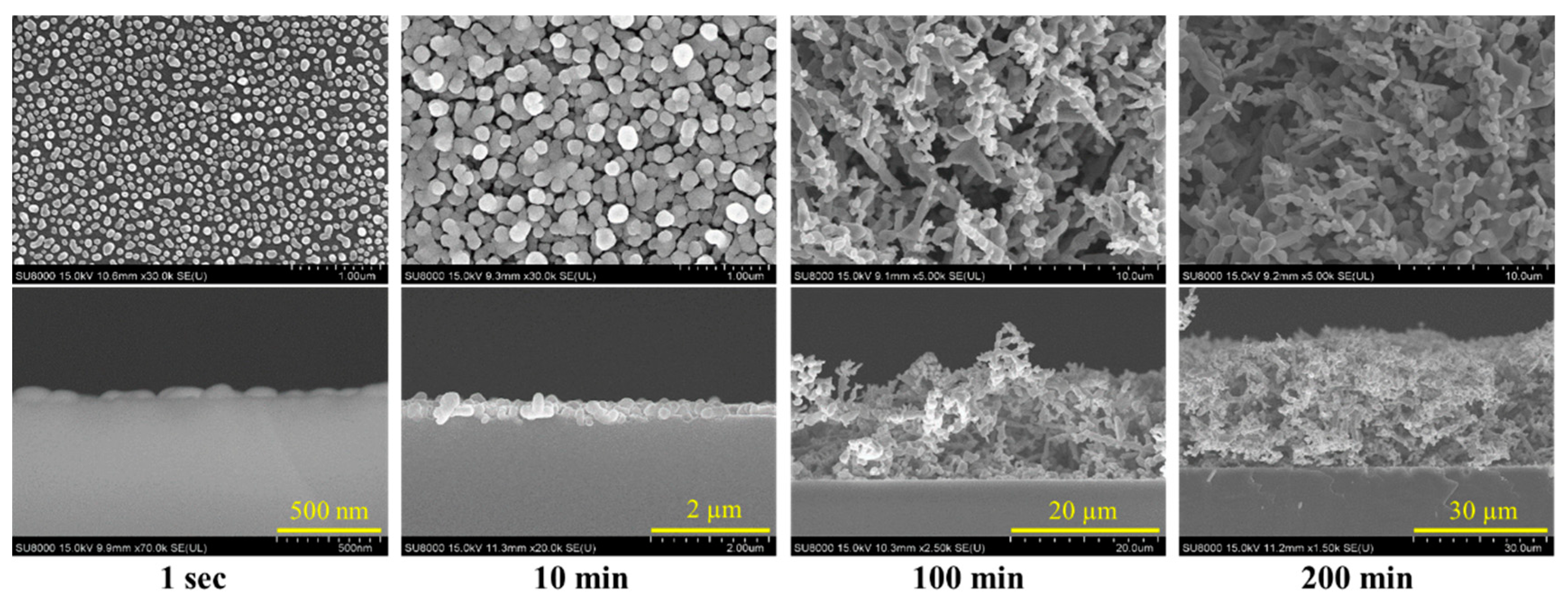 Nanomaterials 10 02244 g003