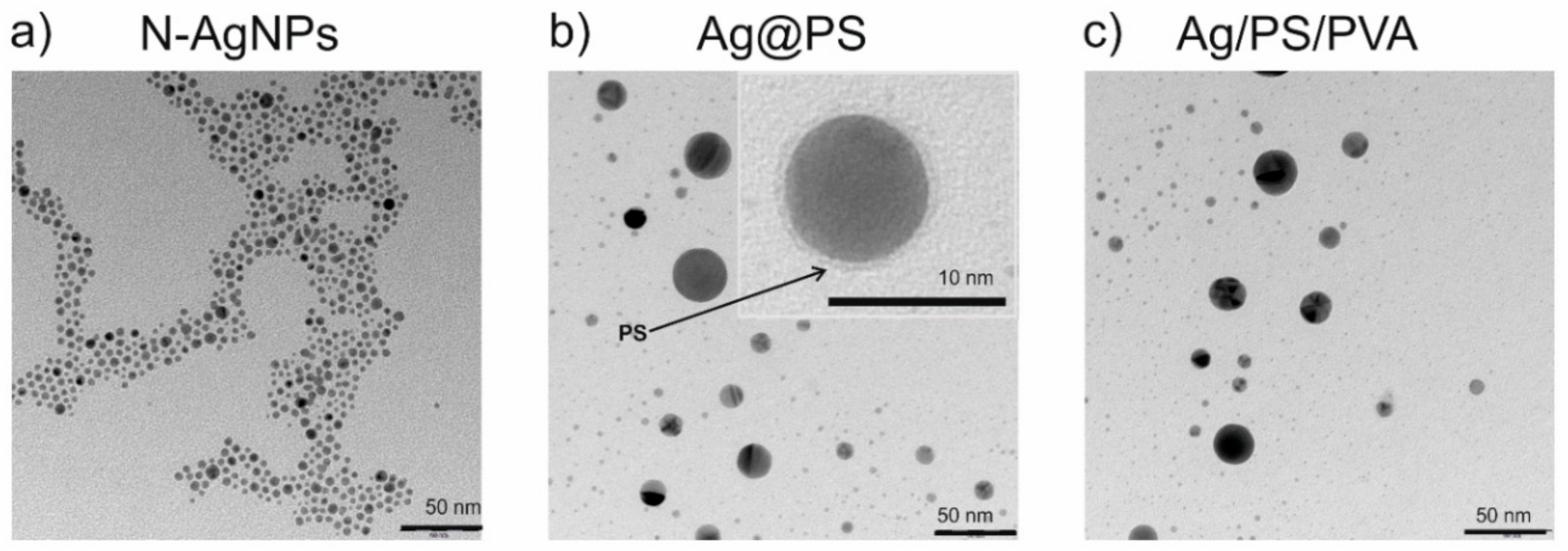 Nanomaterials 10 02245 g001