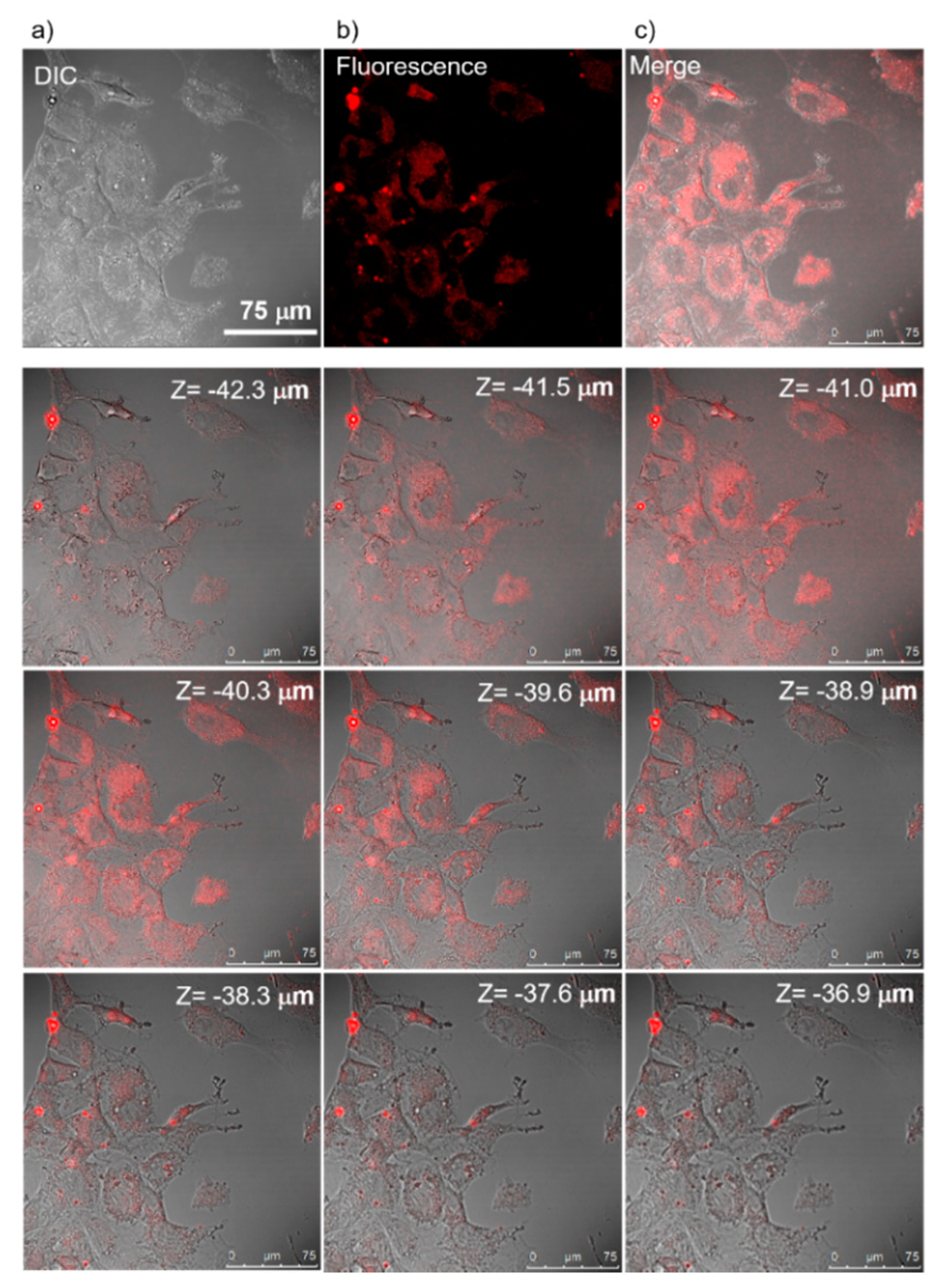 Nanomaterials 10 02250 g008 Nanomaterials 10 02250 g008