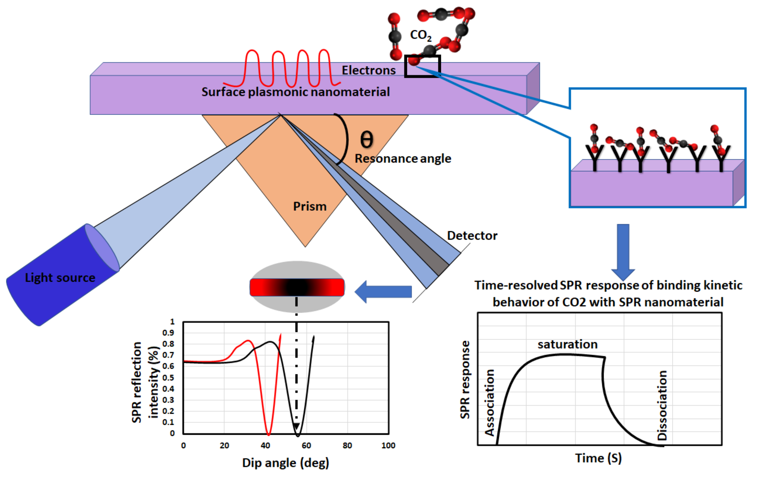 Nanomaterials 10 02251 g003