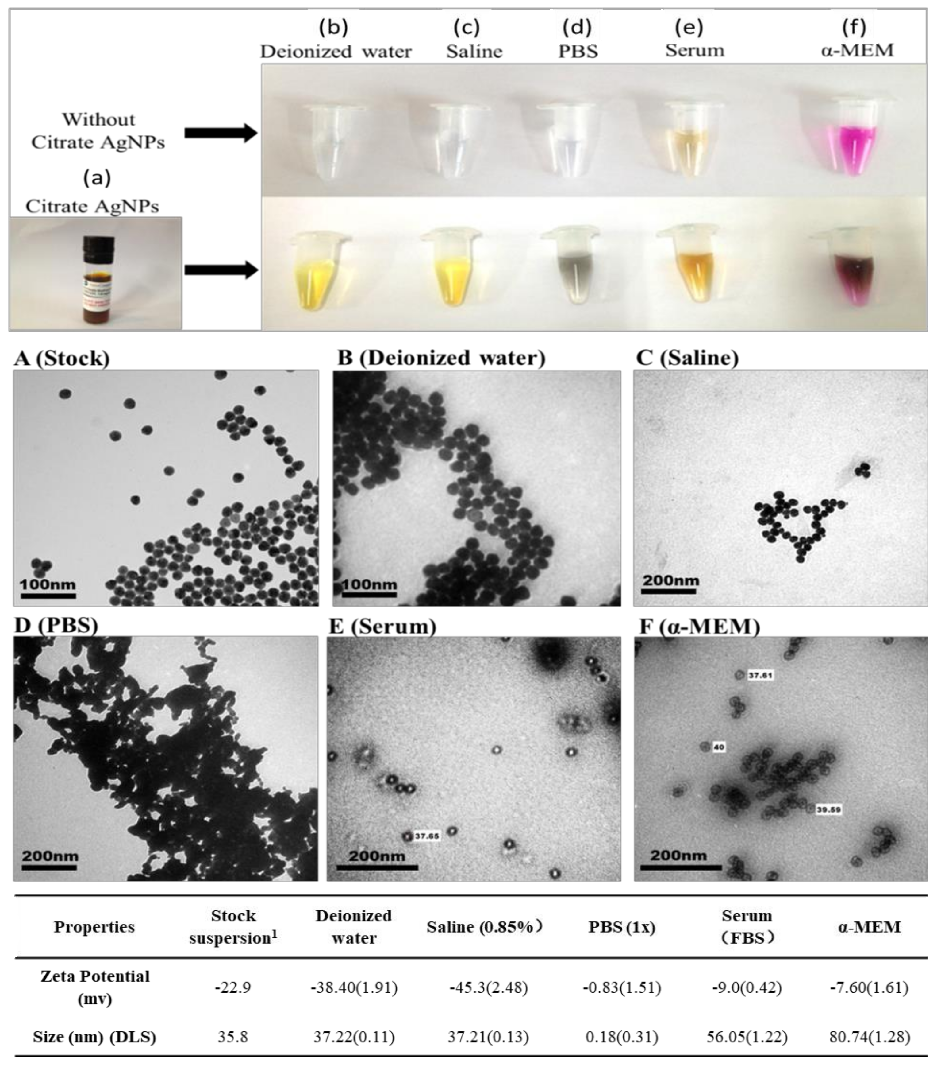 Nanomaterials 10 02255 g002 Nanomaterials 10 02255 g002