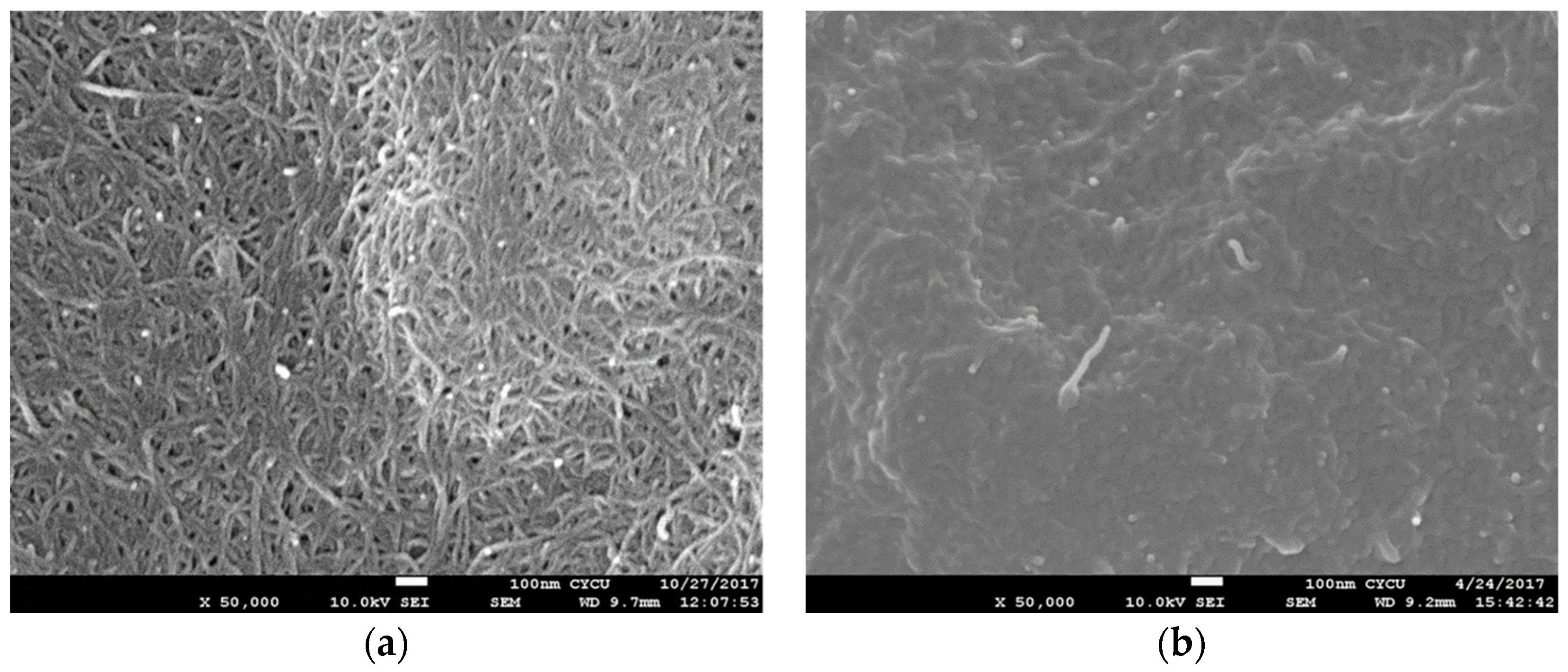 Nanomaterials 10 02258 g003