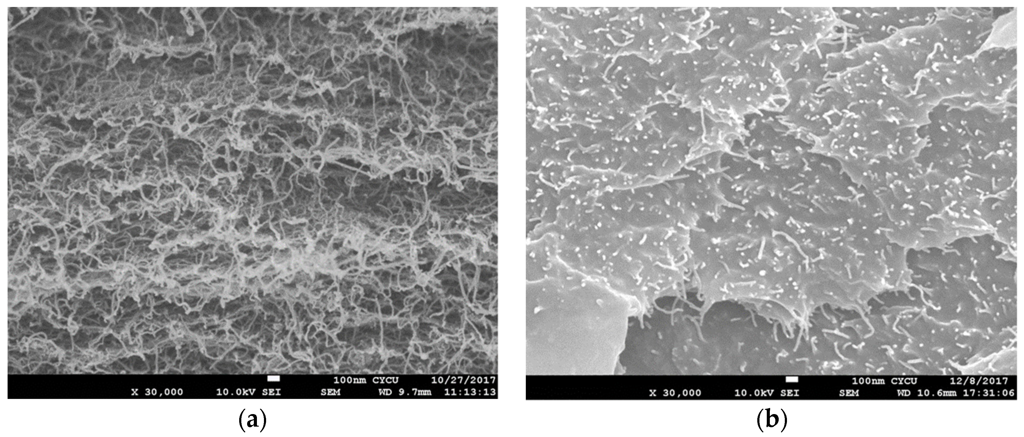 Nanomaterials 10 02258 g004
