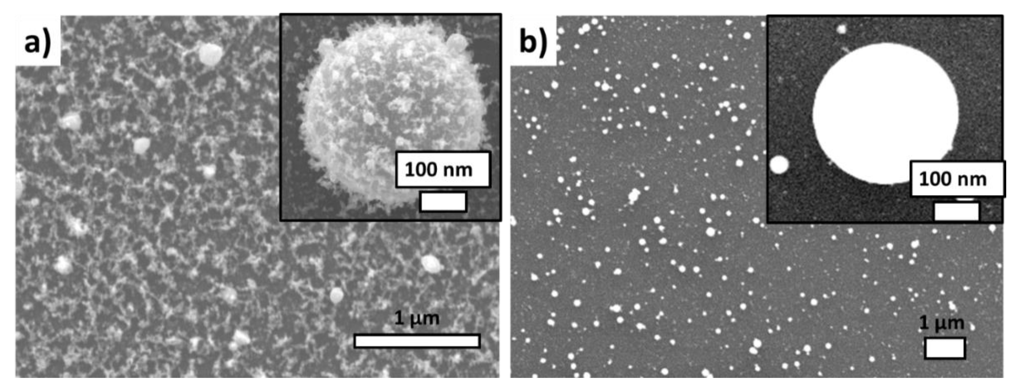 Nanomaterials 10 02259 g002 Nanomaterials 10 02259 g002