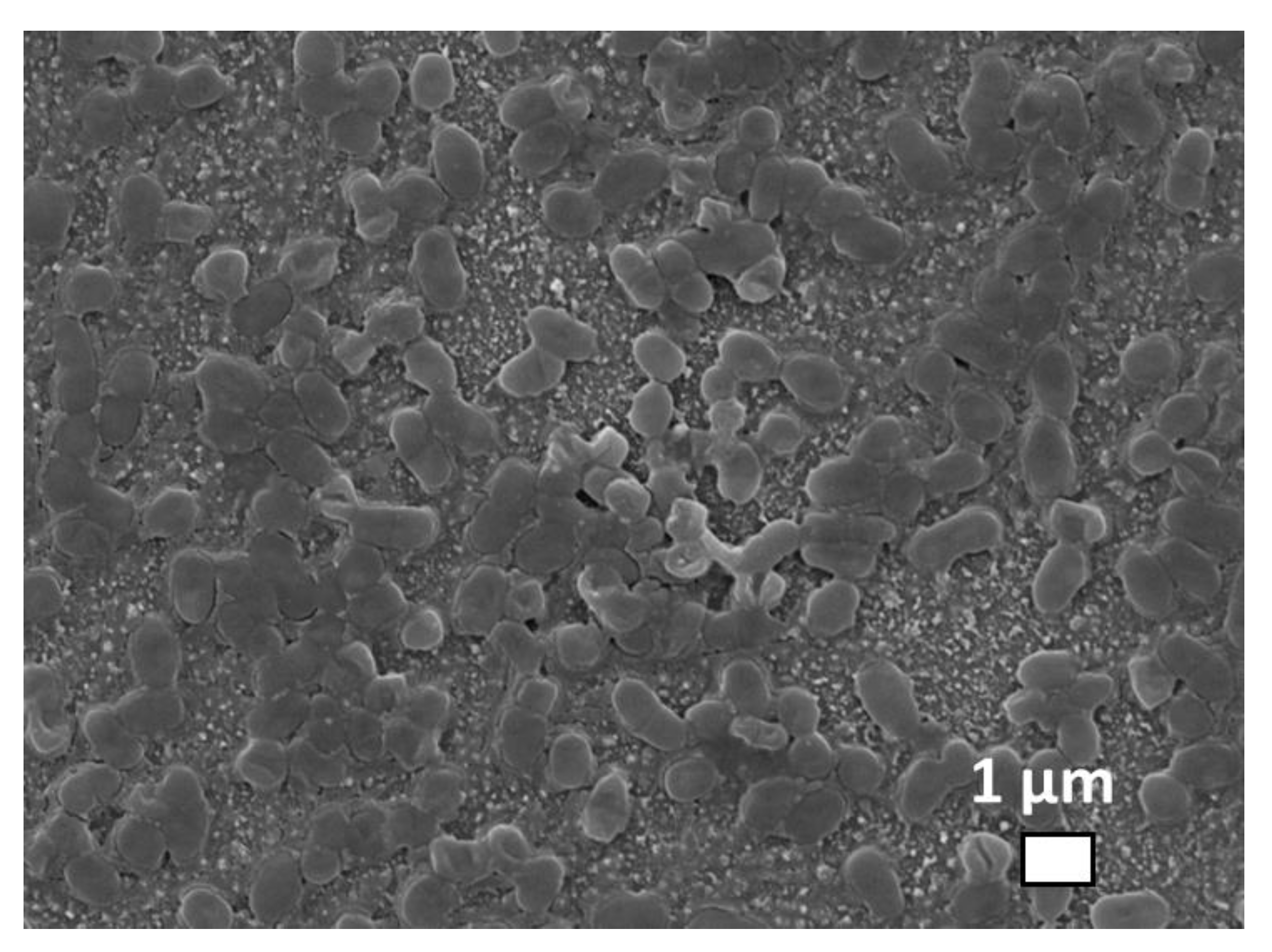 Nanomaterials 10 02259 g006 Nanomaterials 10 02259 g006