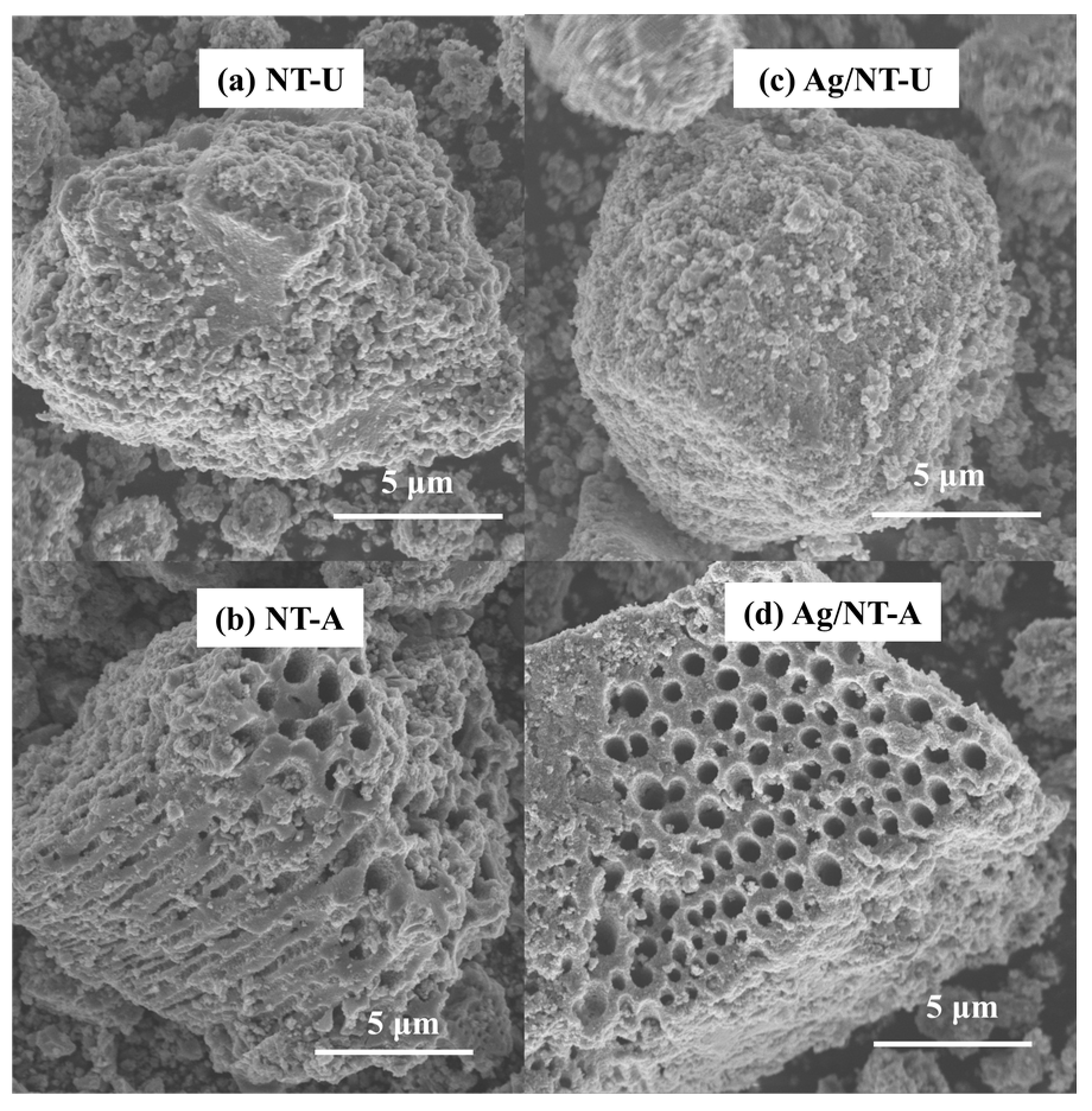 Nanomaterials Free Full Text The Photocatalytic And Antibacterial Performance Of Nitrogen Doped Tio2 Surface Structure Dependence And Silver Deposition Effect Html Nanomaterials Free Full Text The Photocatalytic And Antibacterial Performance Of Nitrogen Doped Tio2 Surface Structure Dependence And Silver Deposition Effect Html