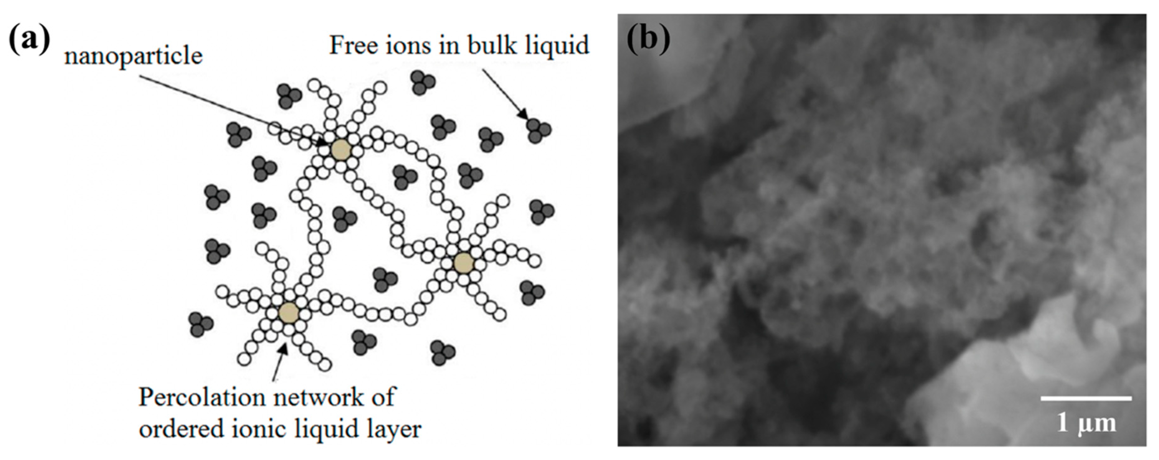 Nanomaterials 10 02266 g009 Nanomaterials 10 02266 g009