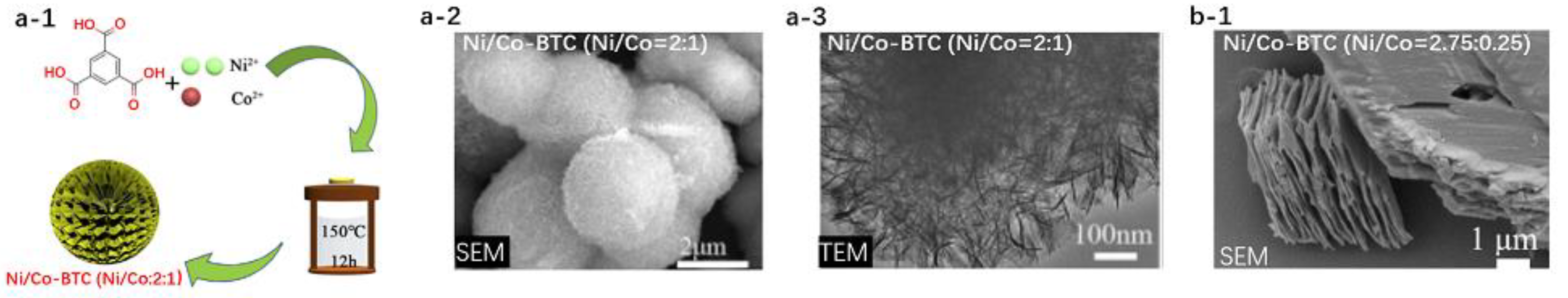 Nanomaterials 10 02268 g001