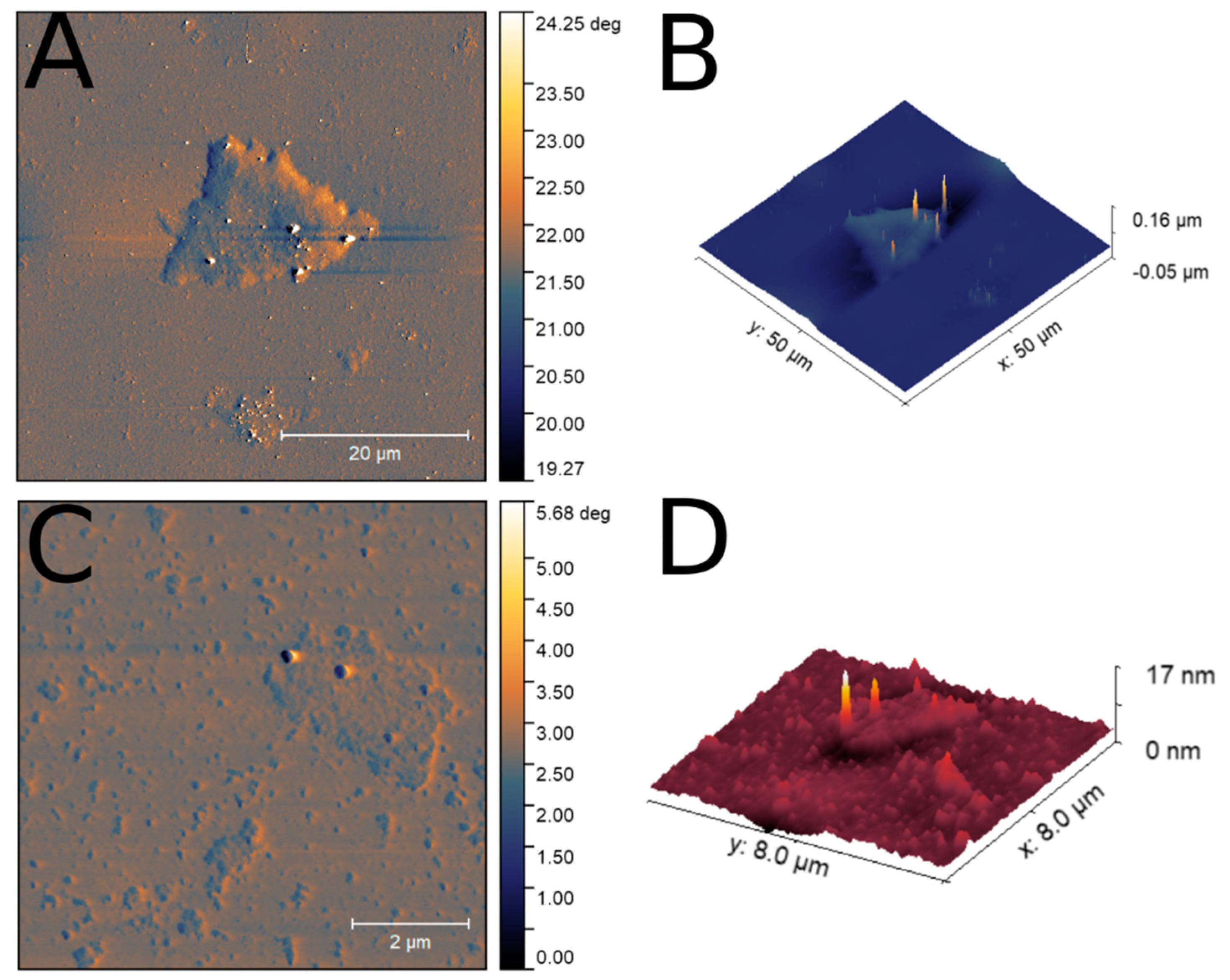 Nanomaterials 10 02269 g004 Nanomaterials 10 02269 g004
