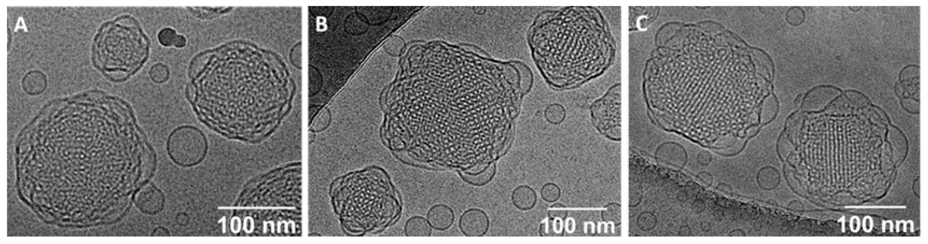 Nanomaterials 10 02272 g004 Nanomaterials 10 02272 g004