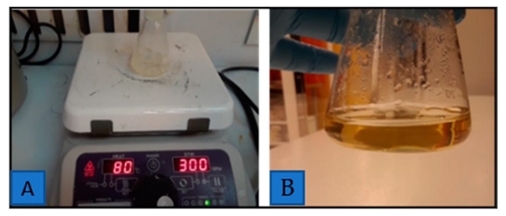 Nanomaterials 10 02273 g001