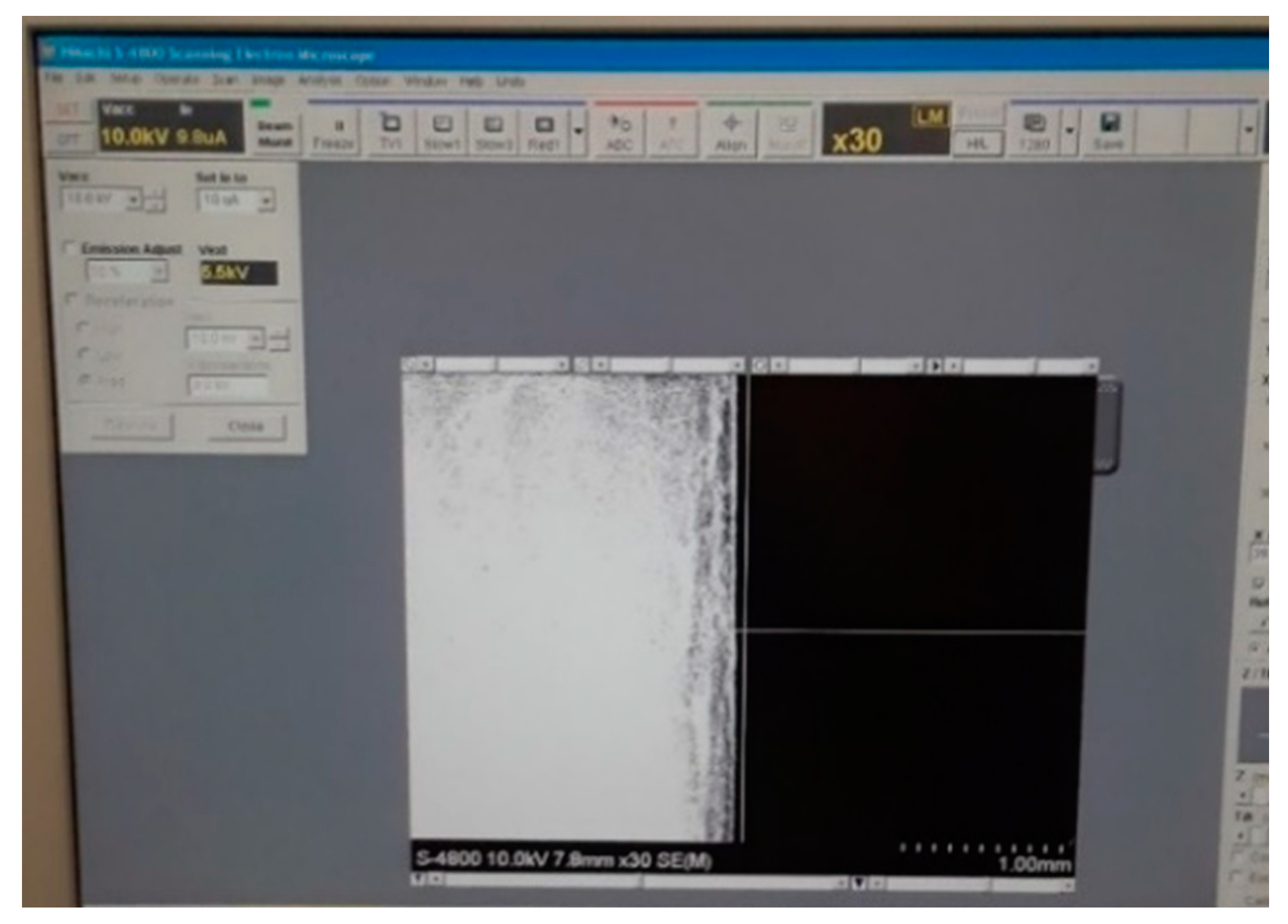 Nanomaterials 10 02273 g017