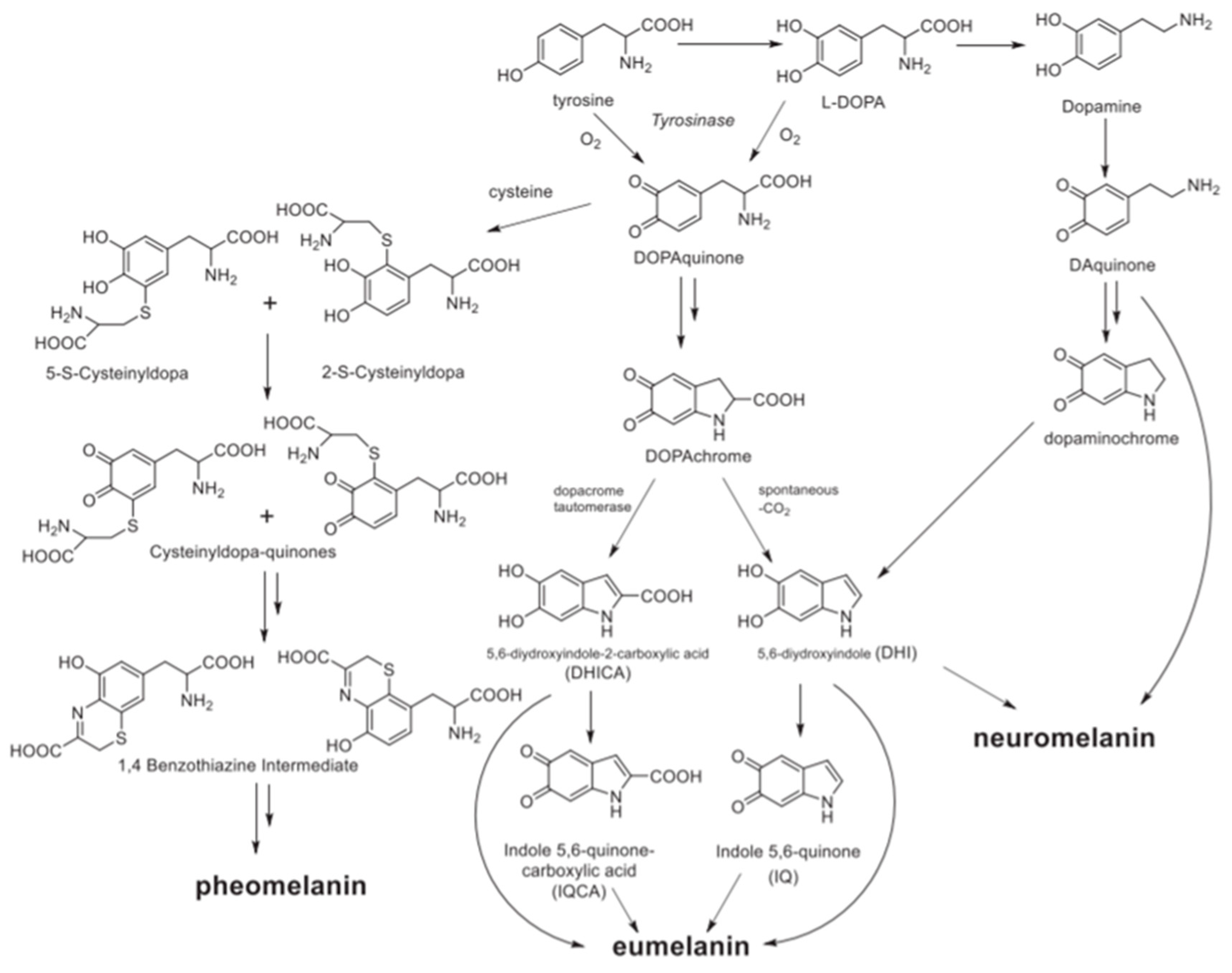 Nanomaterials 10 02276 g002