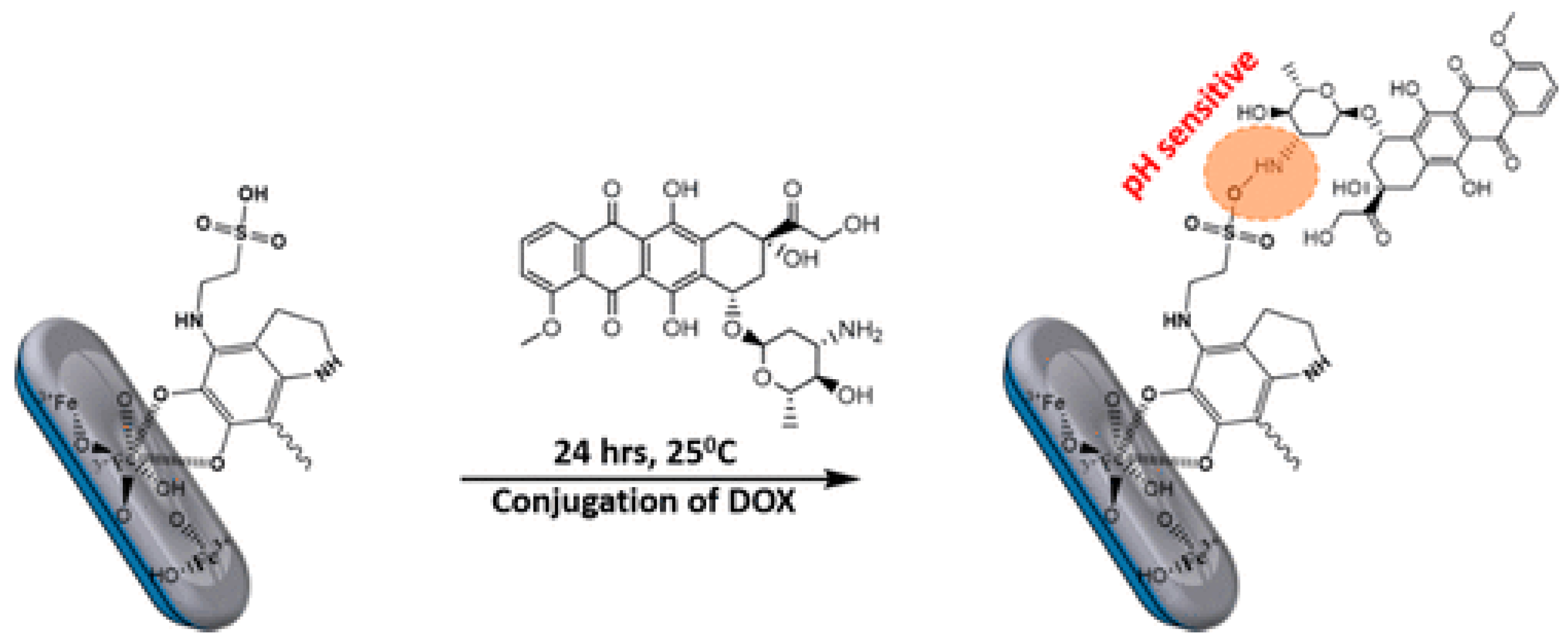 Nanomaterials 10 02276 g011