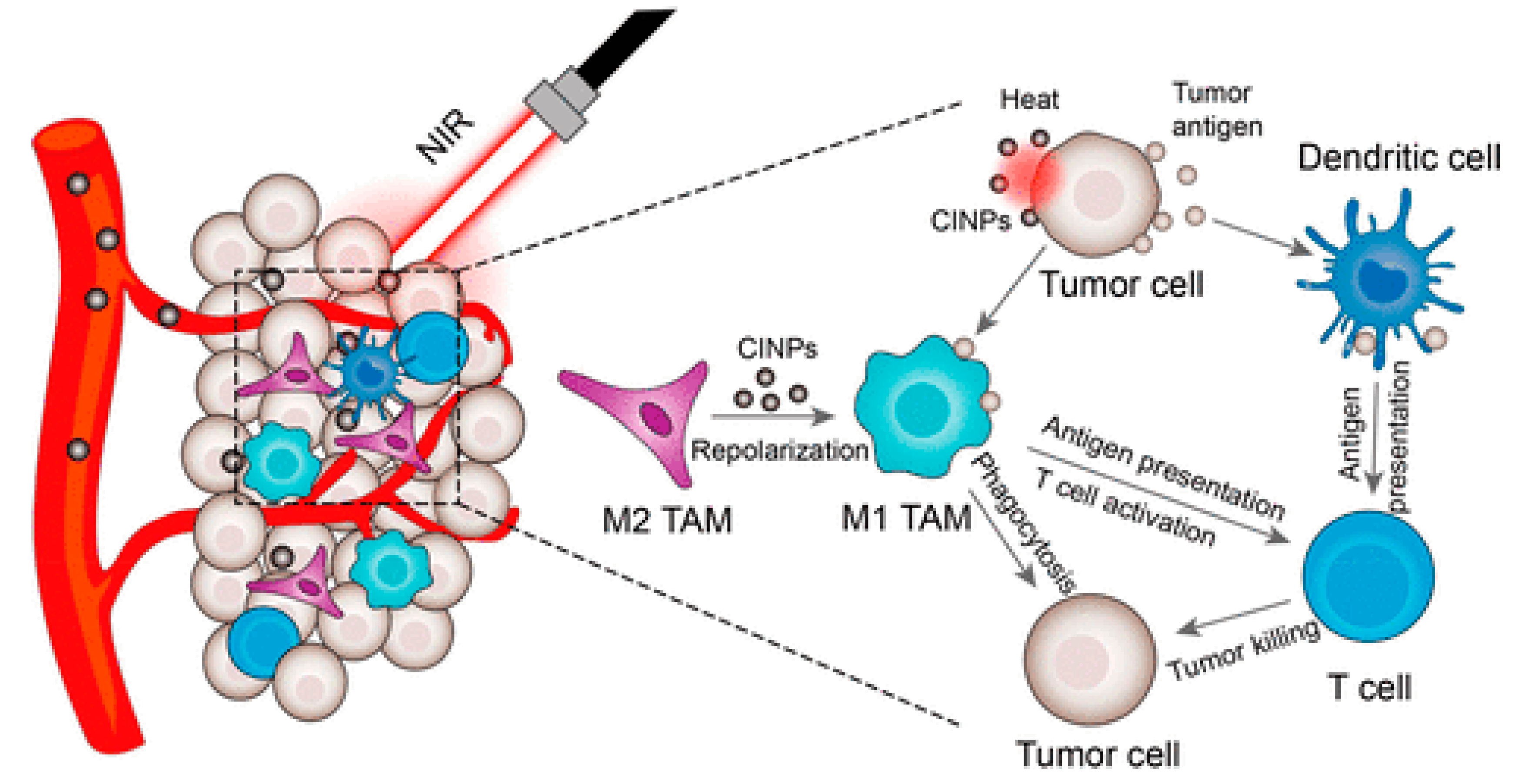 Nanomaterials 10 02276 g013