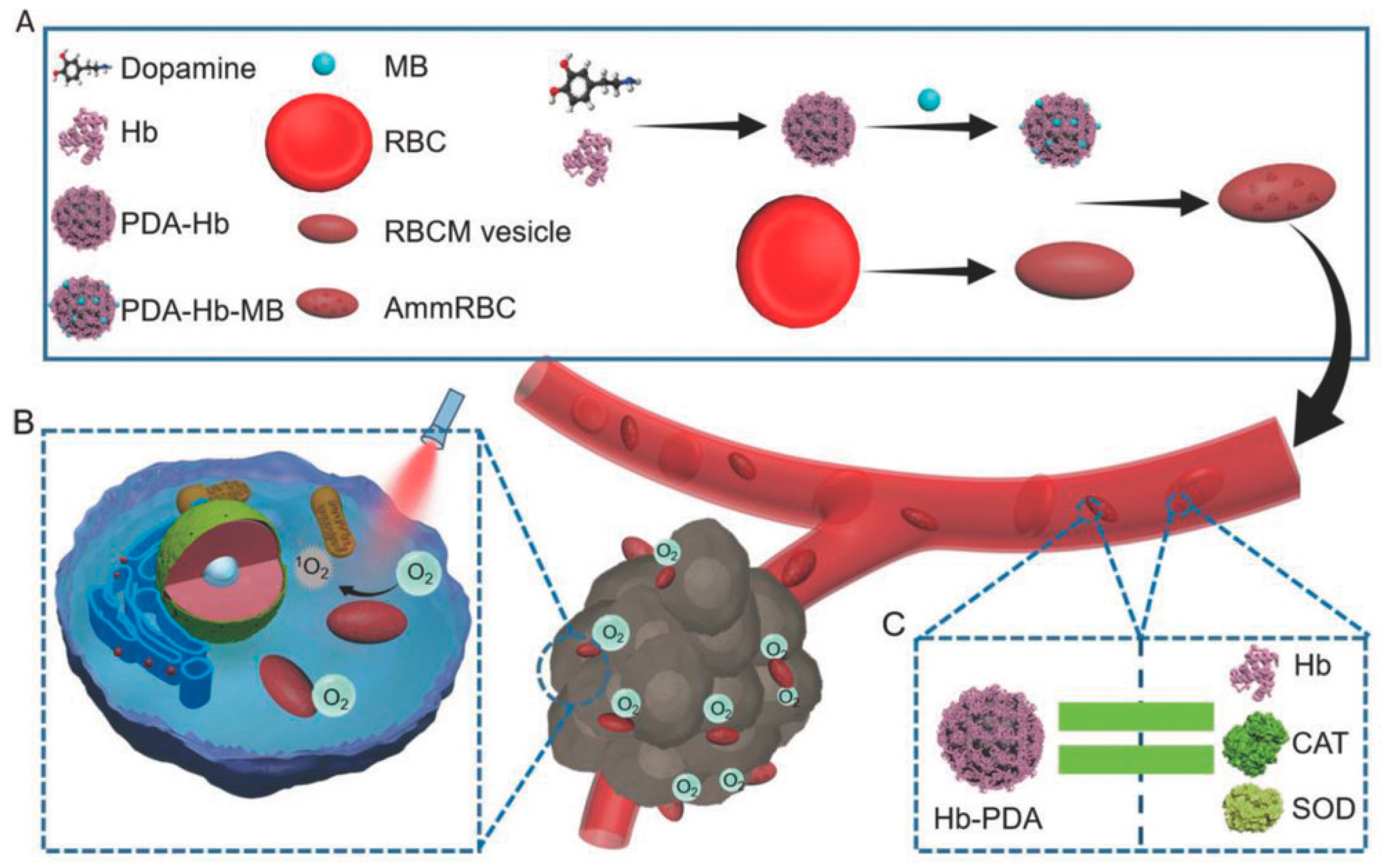 Nanomaterials 10 02276 g017