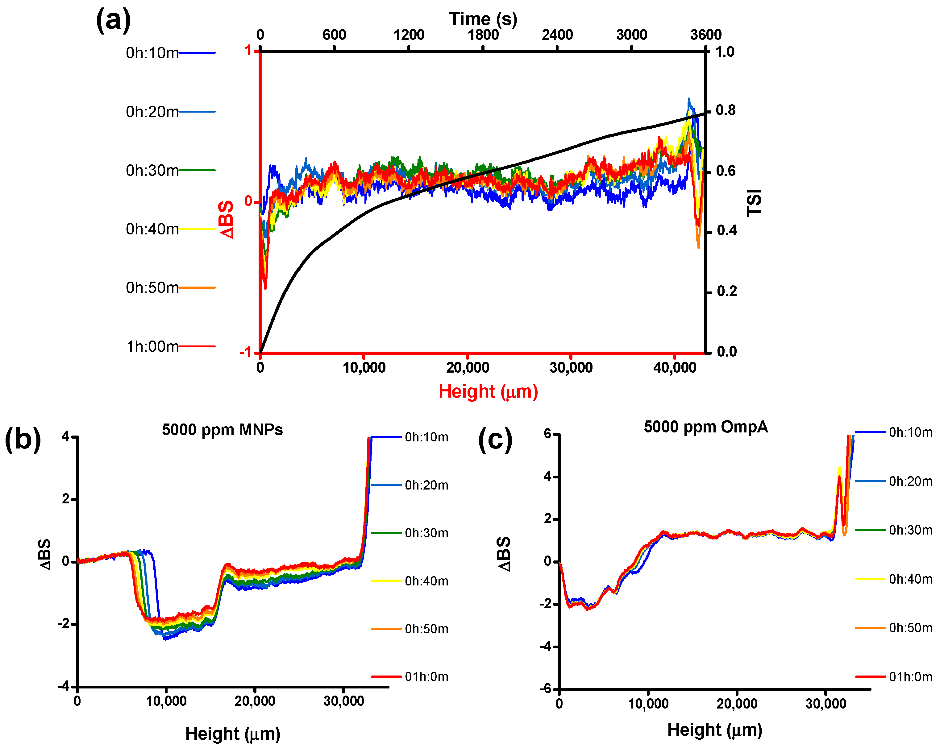 Nanomaterials 10 02278 g004 Nanomaterials 10 02278 g004