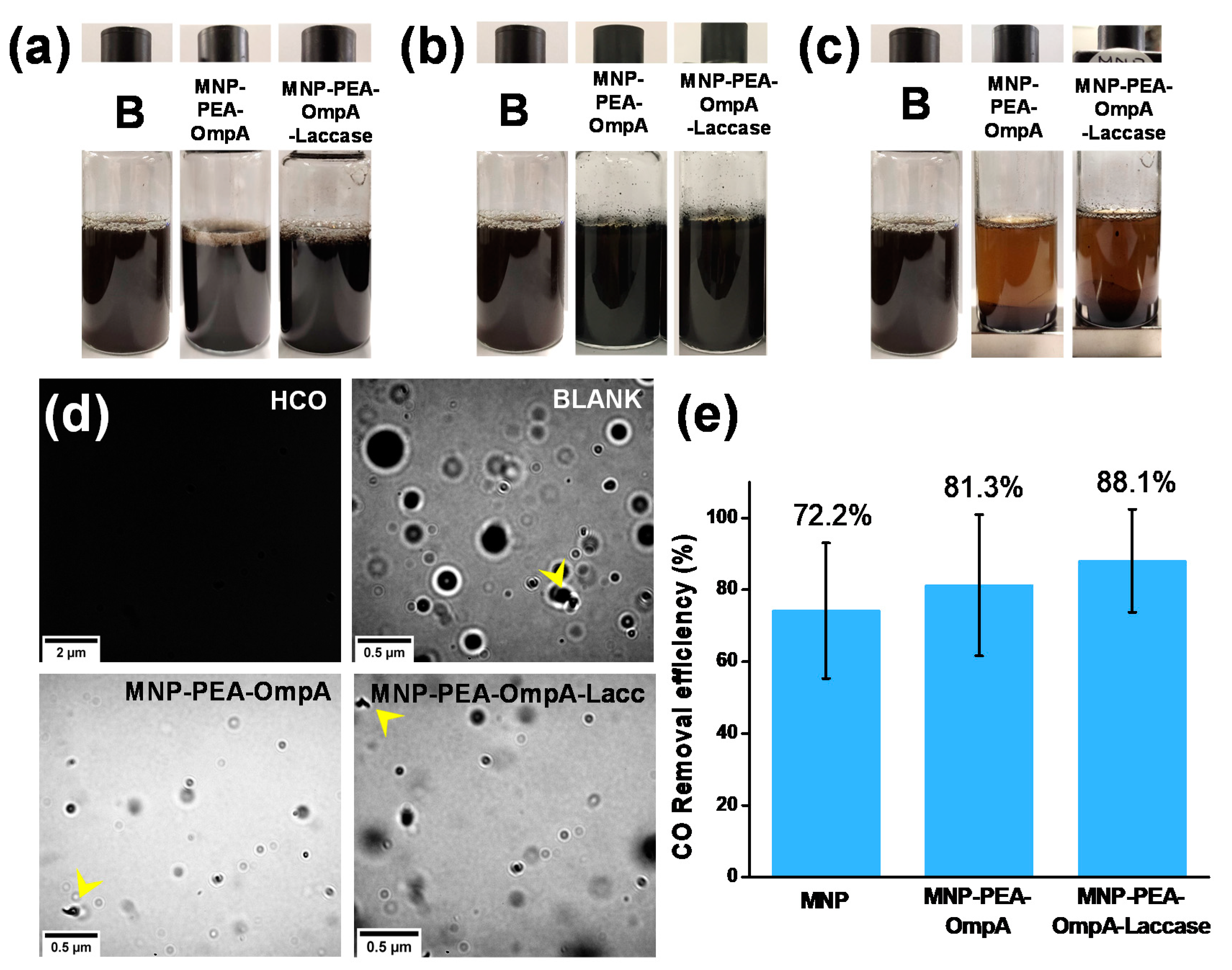 Nanomaterials 10 02278 g005 Nanomaterials 10 02278 g005