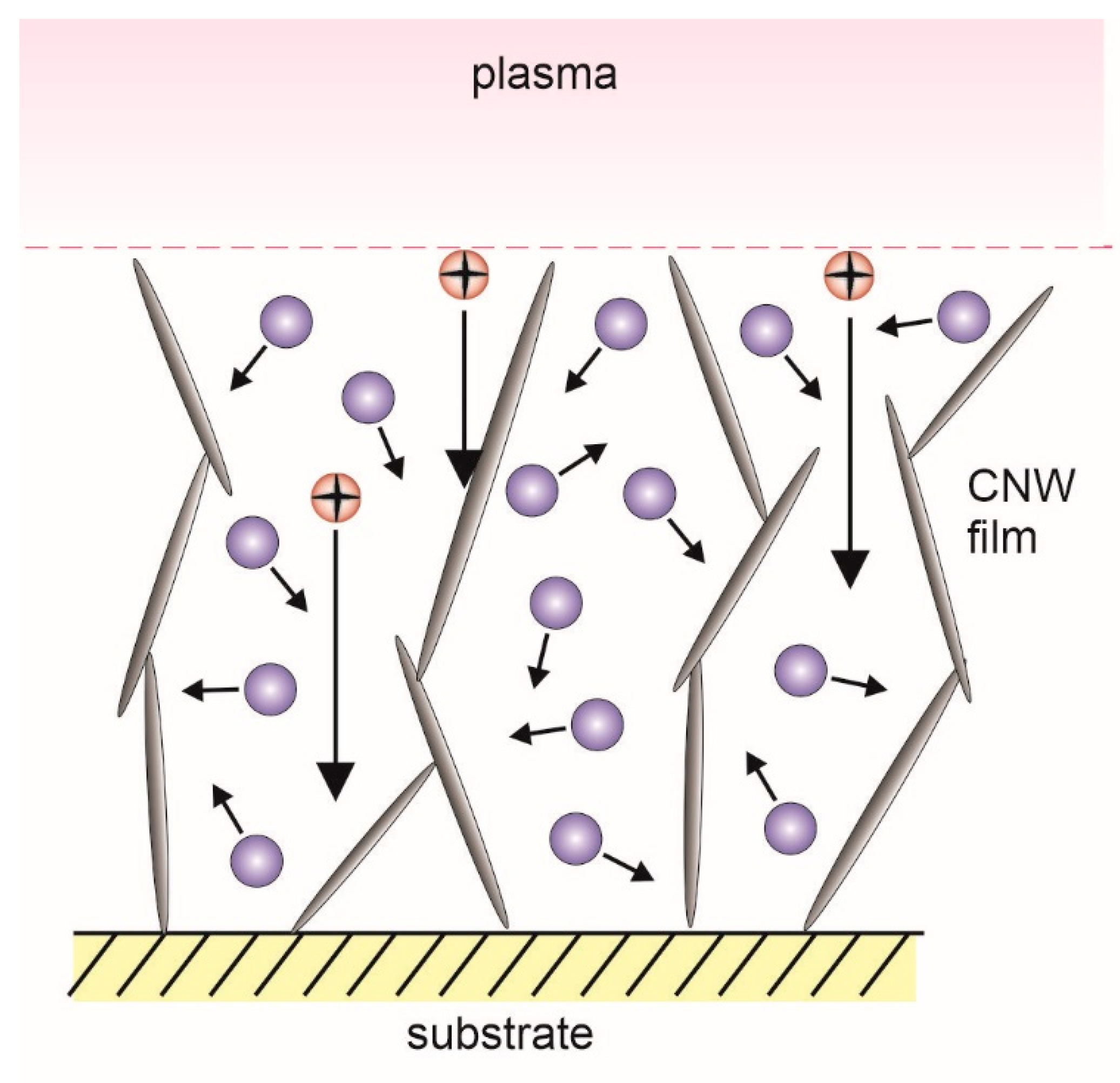 Nanomaterials 10 02286 g007