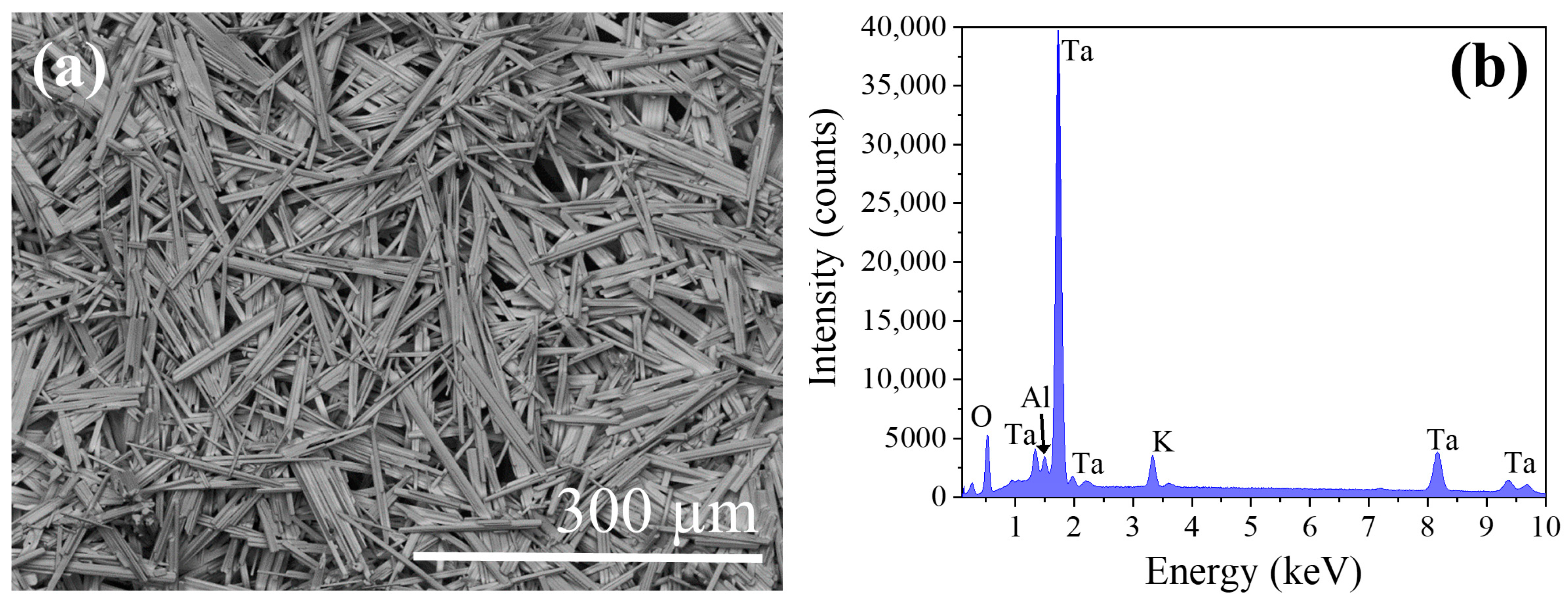 Nanomaterials 10 02289 g005