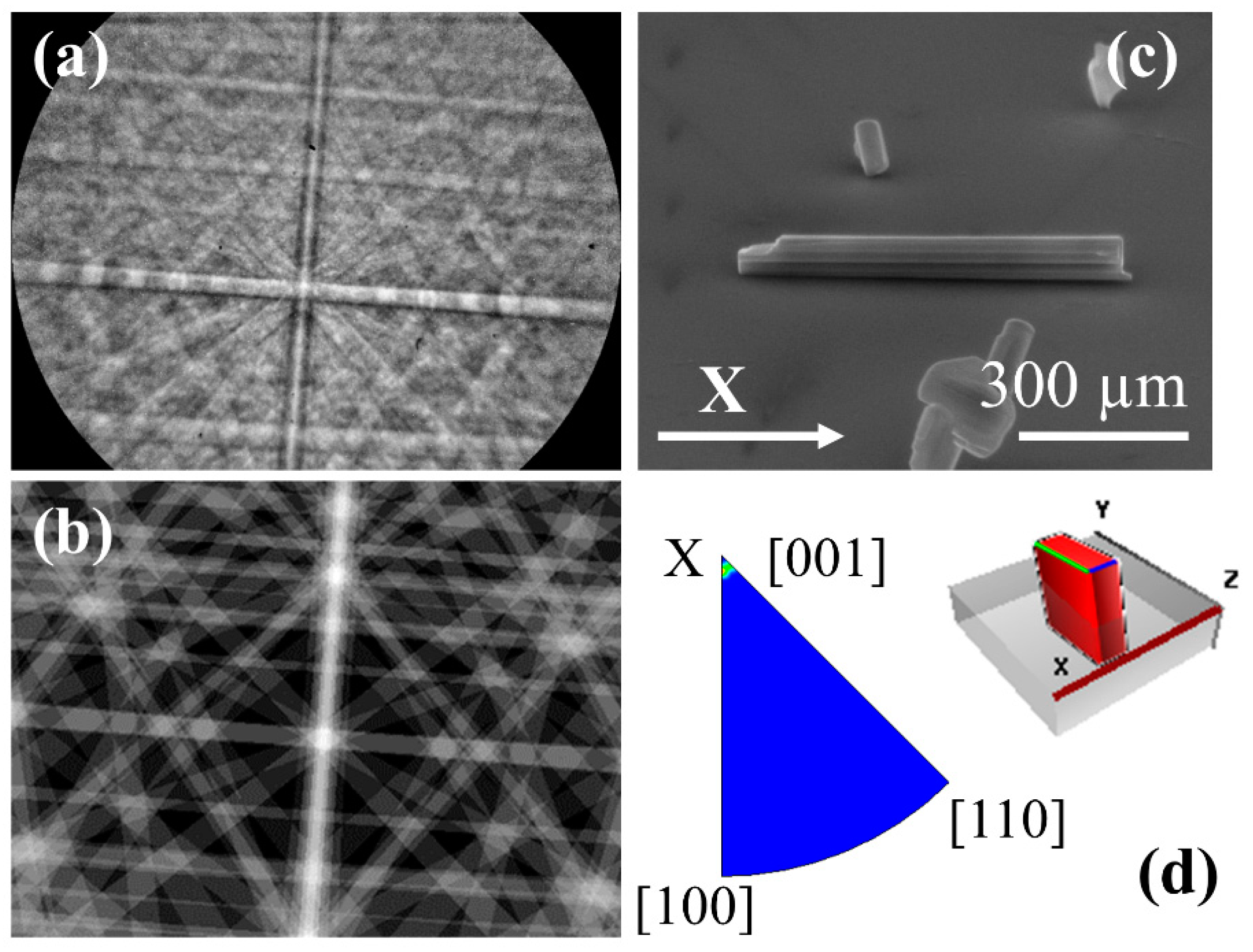 Nanomaterials 10 02289 g007