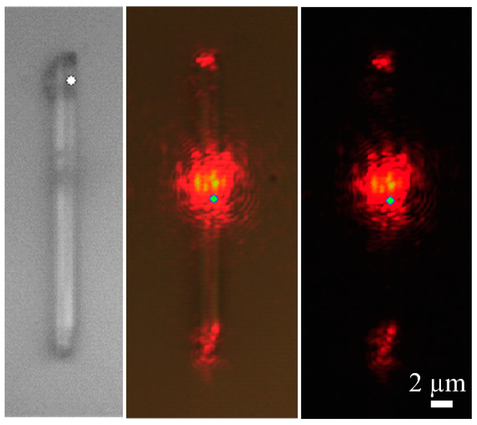 Nanomaterials 10 02289 g009
