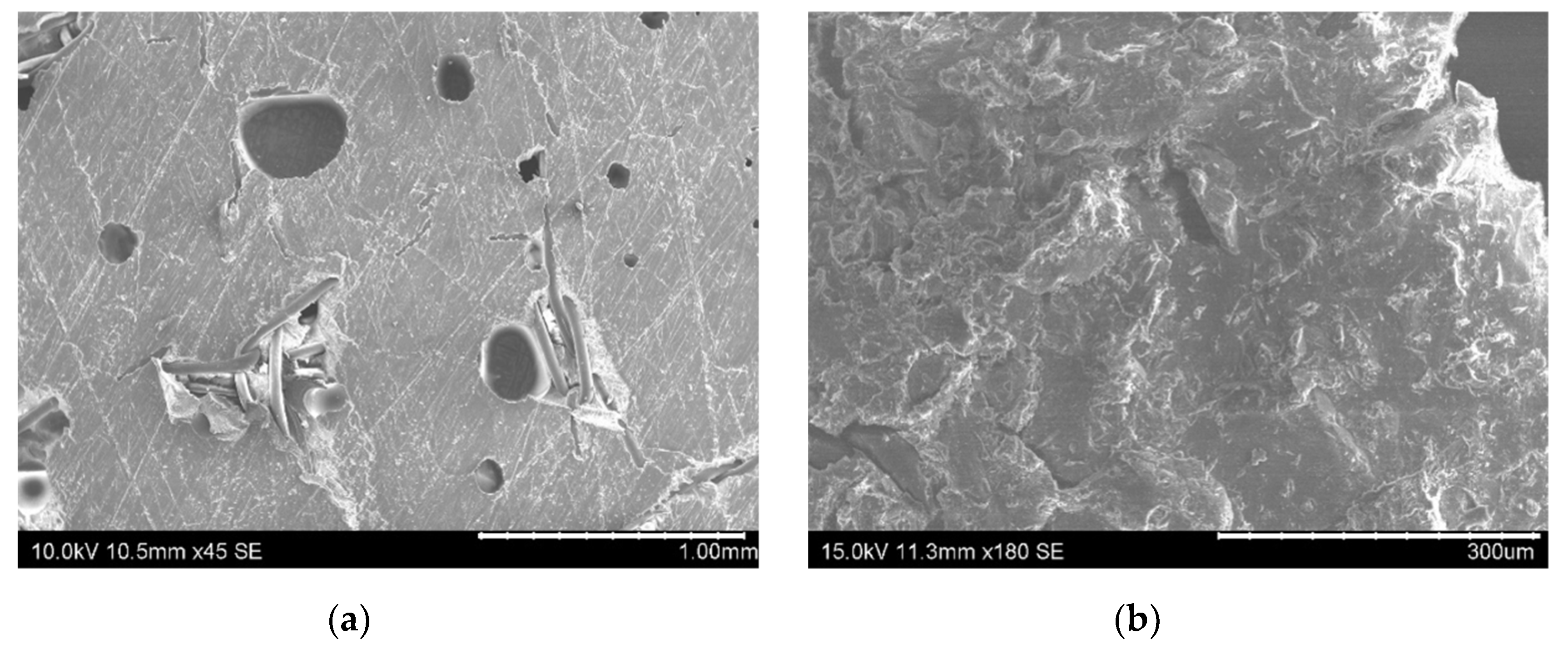 Nanomaterials 10 02290 g005a
