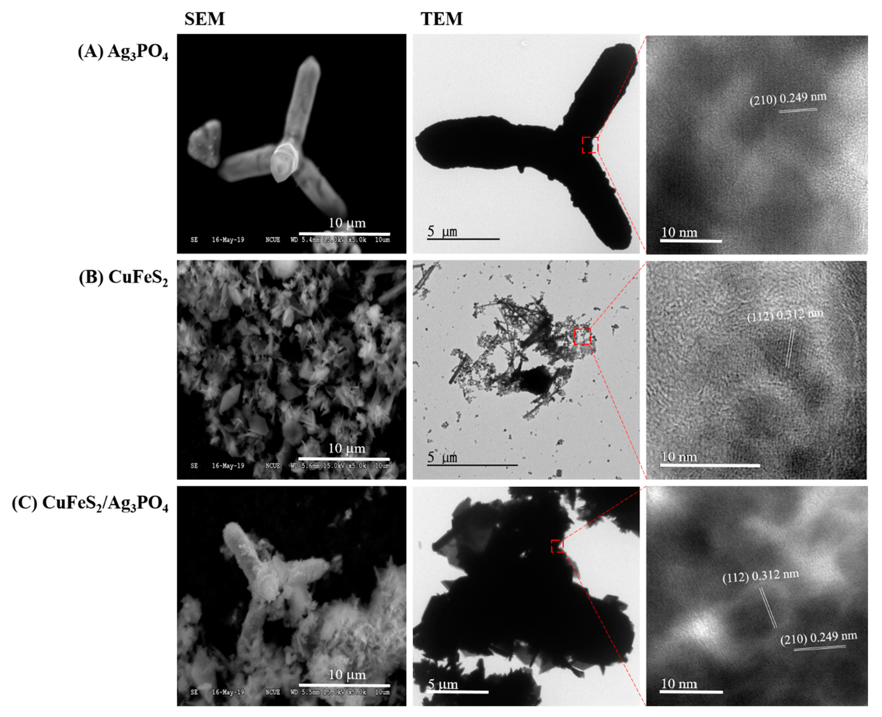 Nanomaterials 10 02300 g001