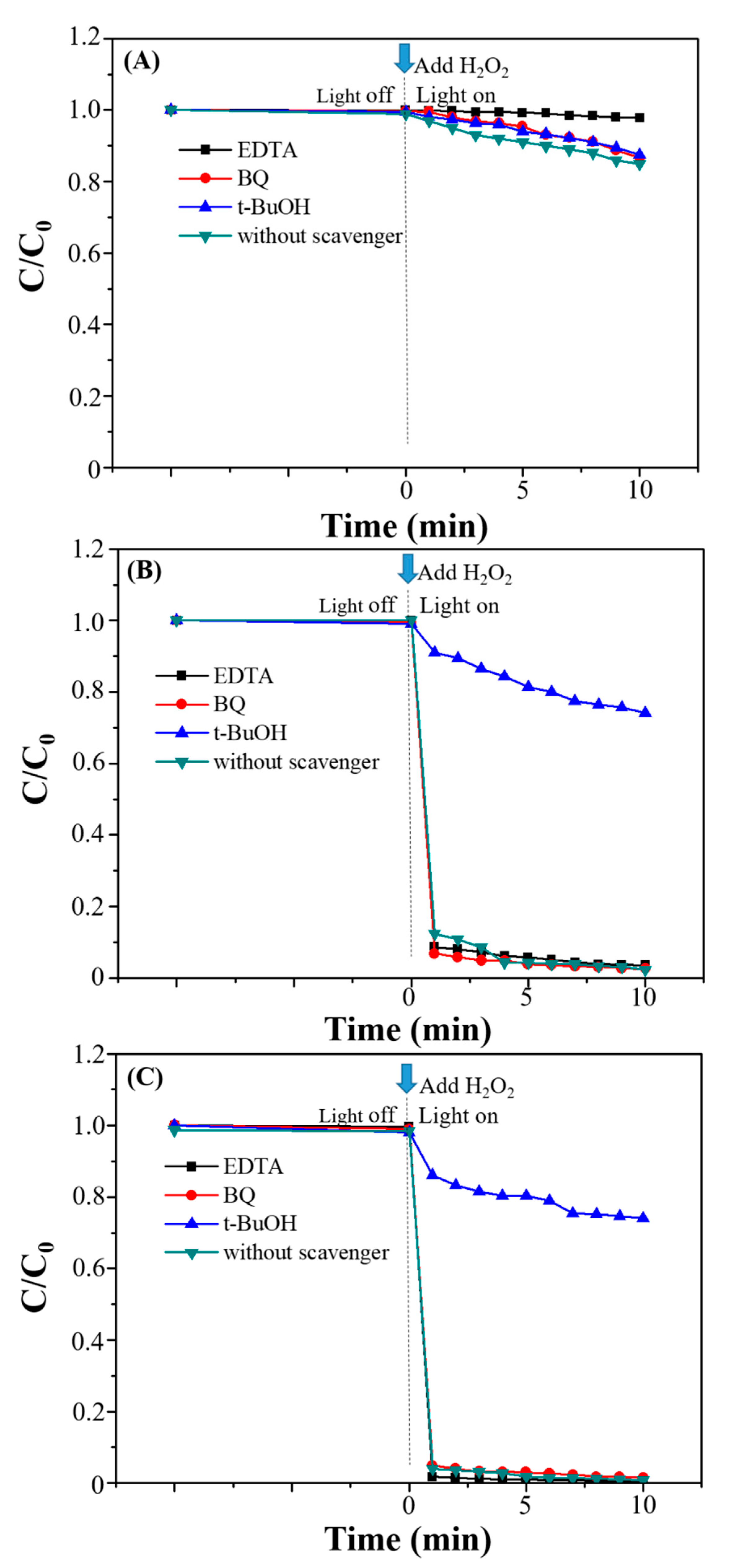 Nanomaterials 10 02300 g014
