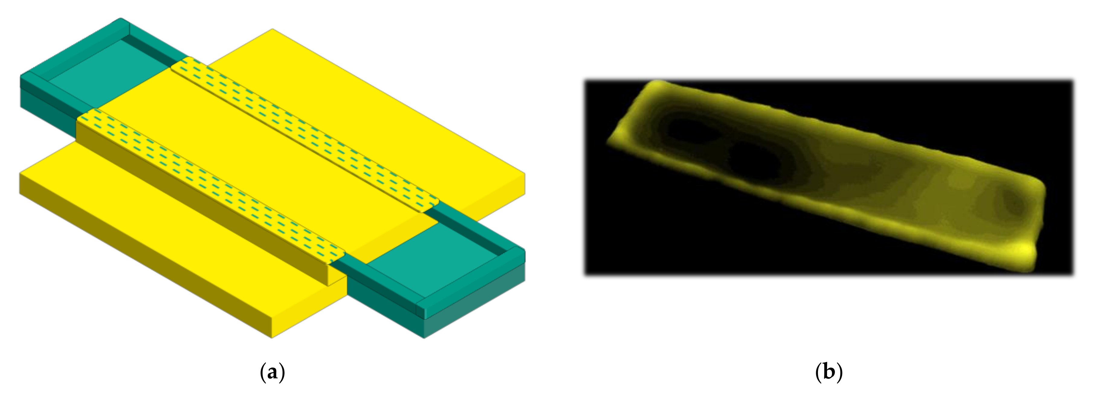 Nanomaterials 10 02302 g002
