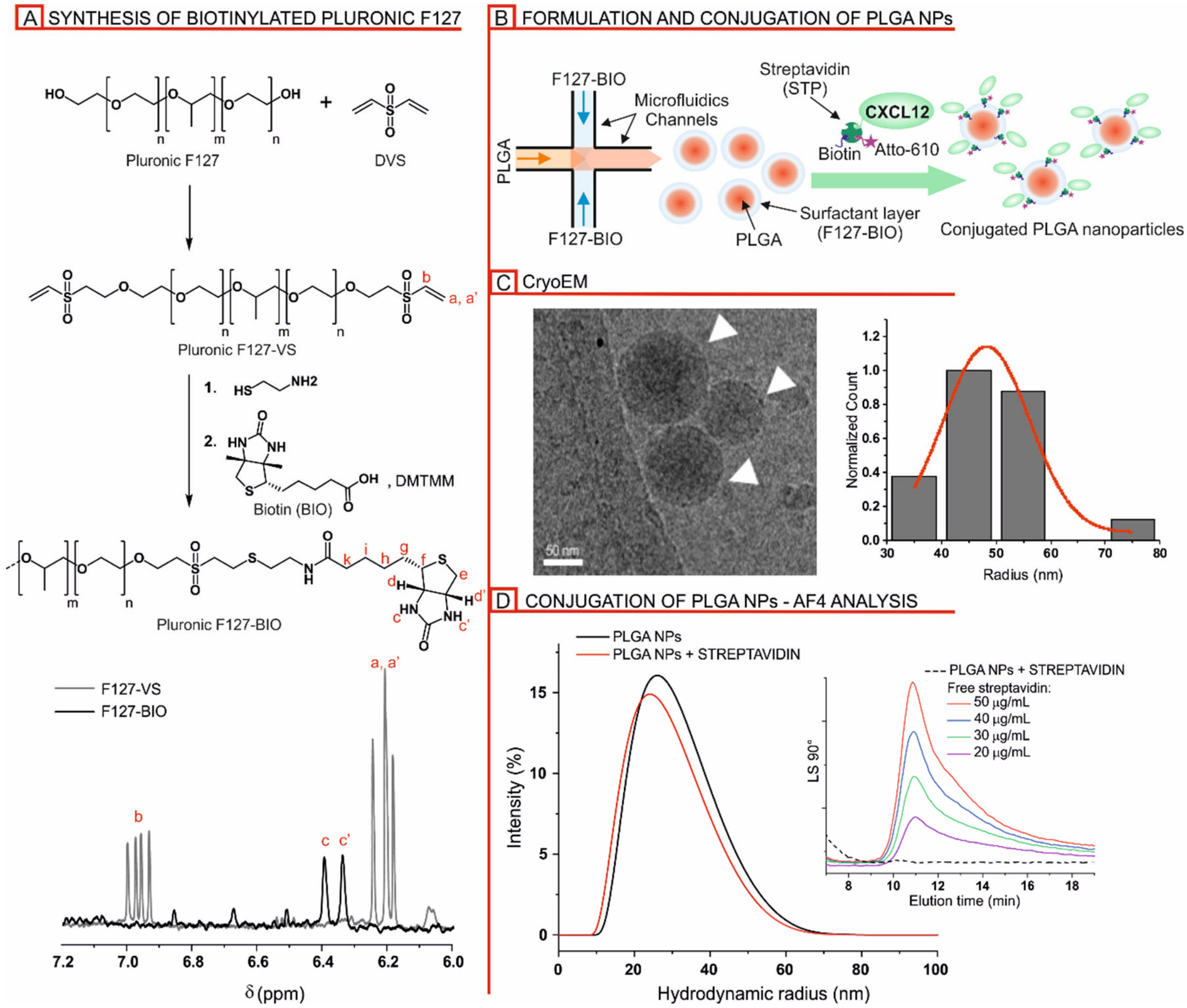 Nanomaterials 10 02304 g001