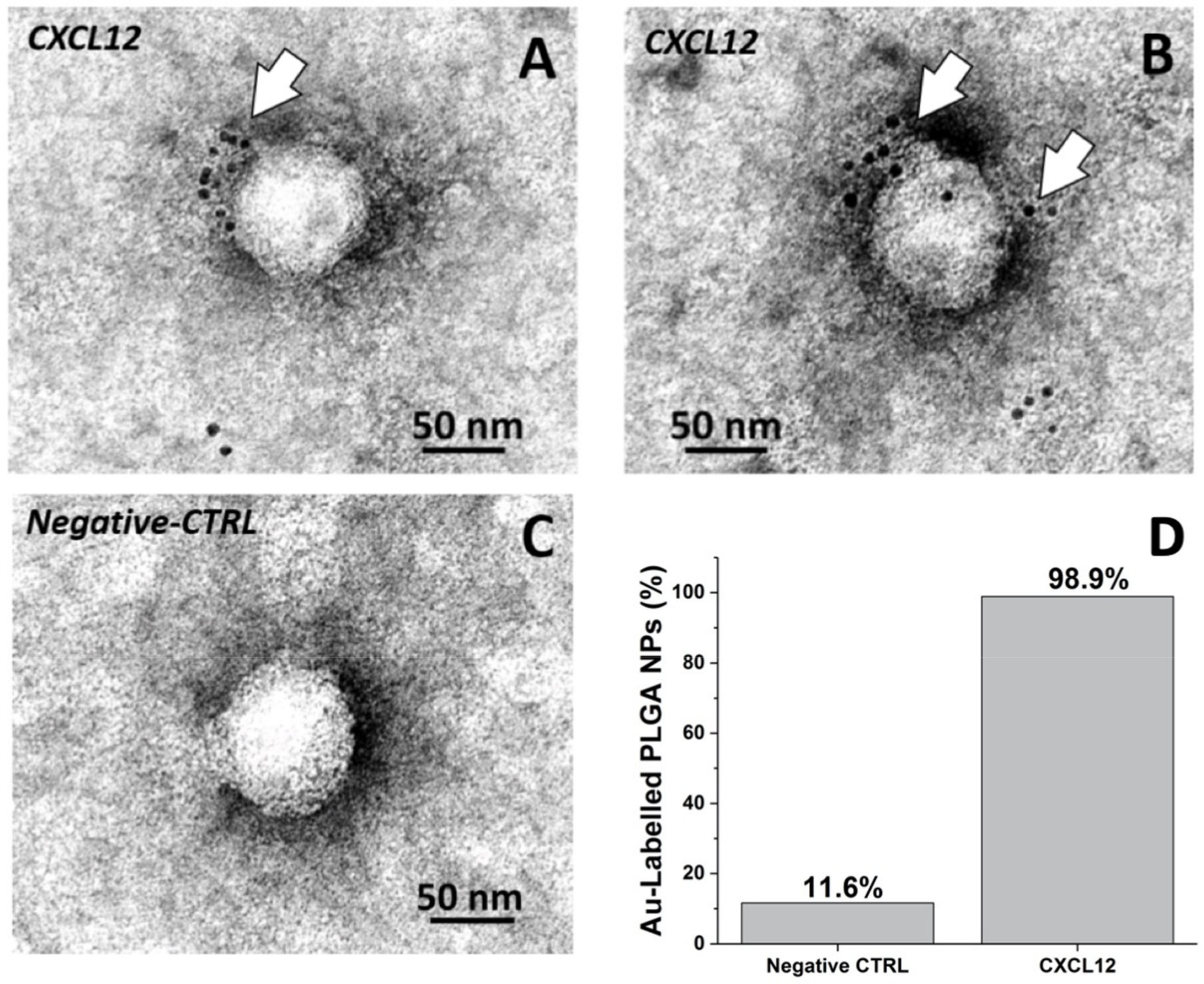 Nanomaterials 10 02304 g002
