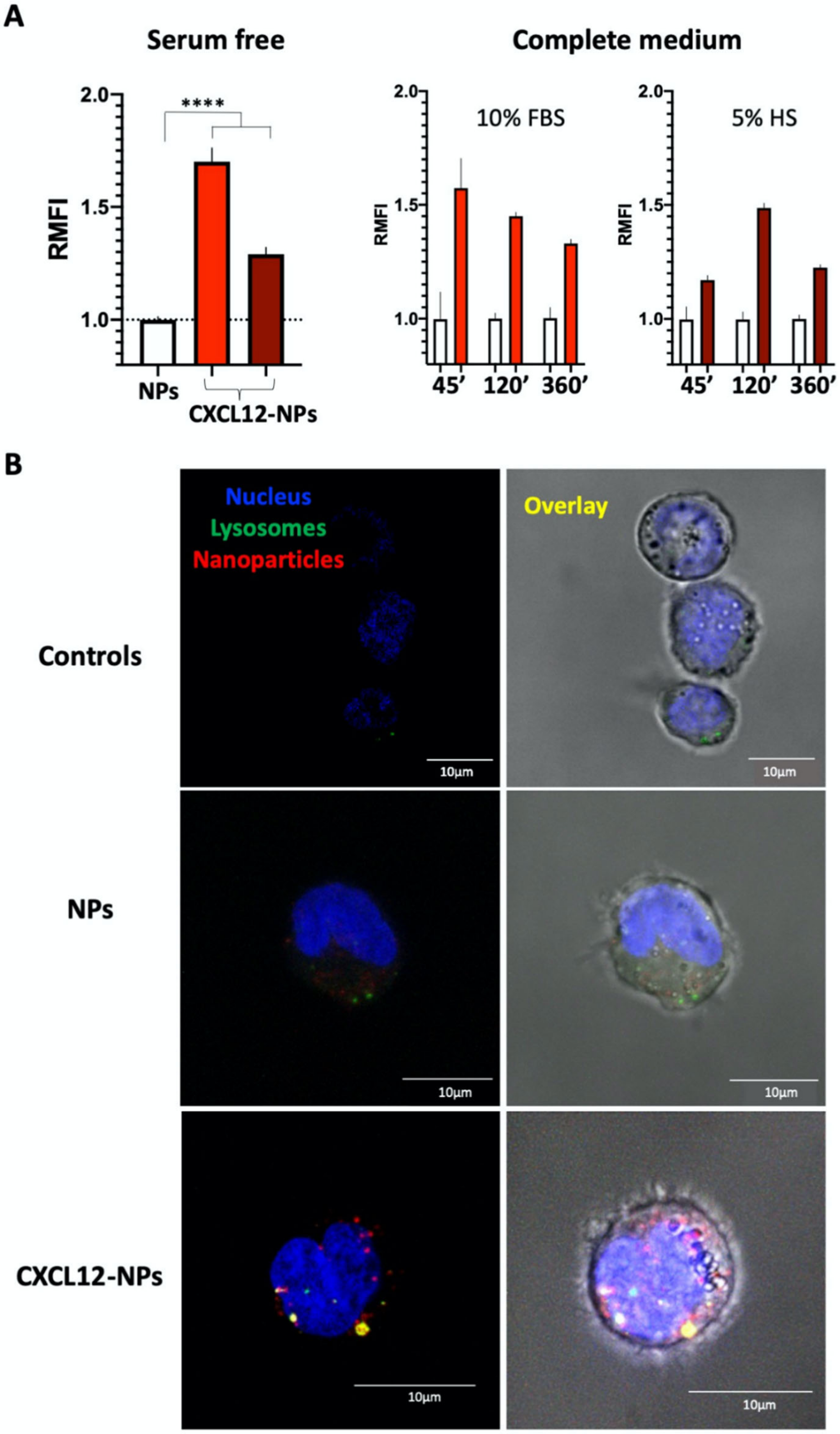 Nanomaterials 10 02304 g004