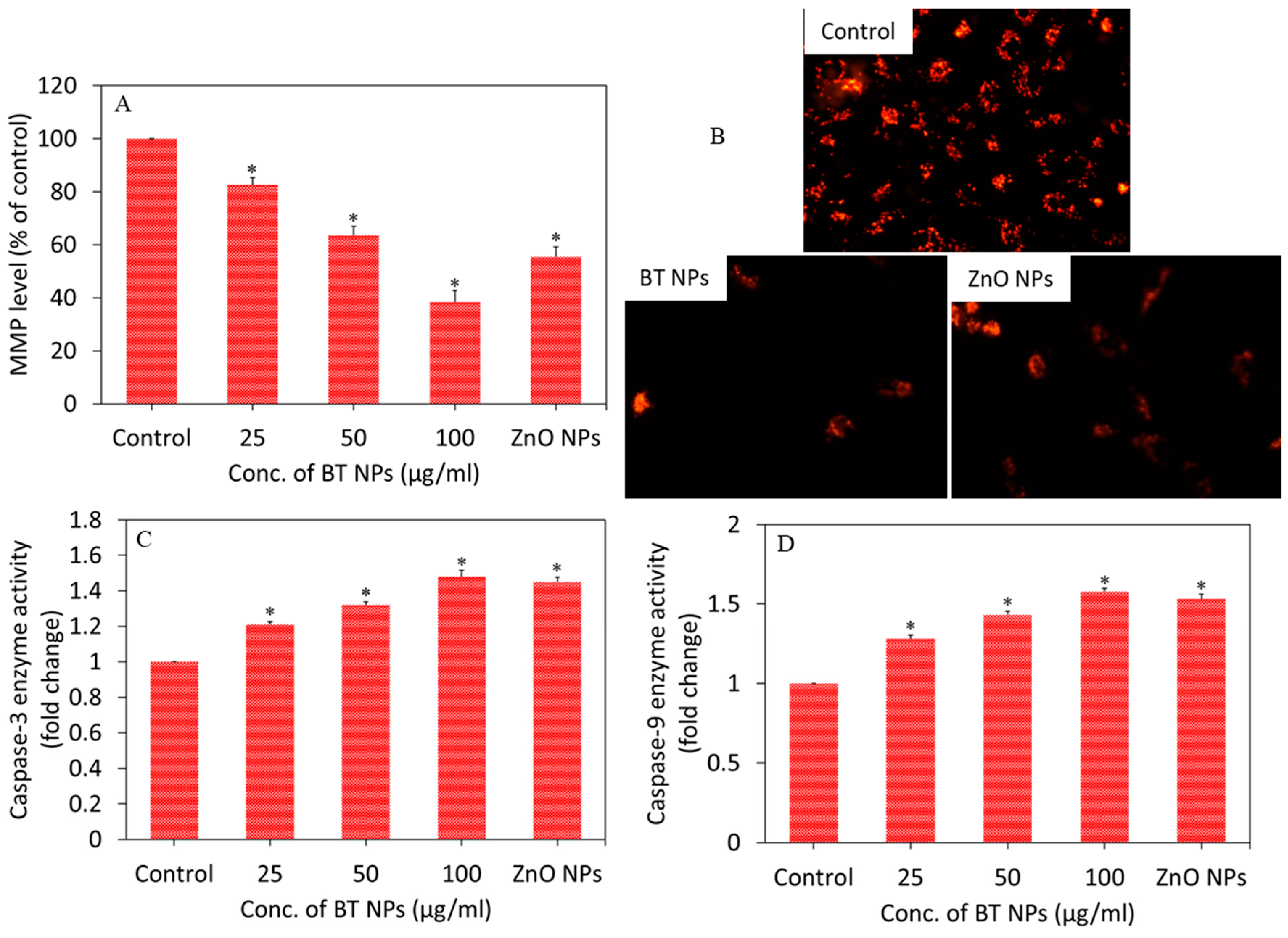 Nanomaterials 10 02309 g004 Nanomaterials 10 02309 g004