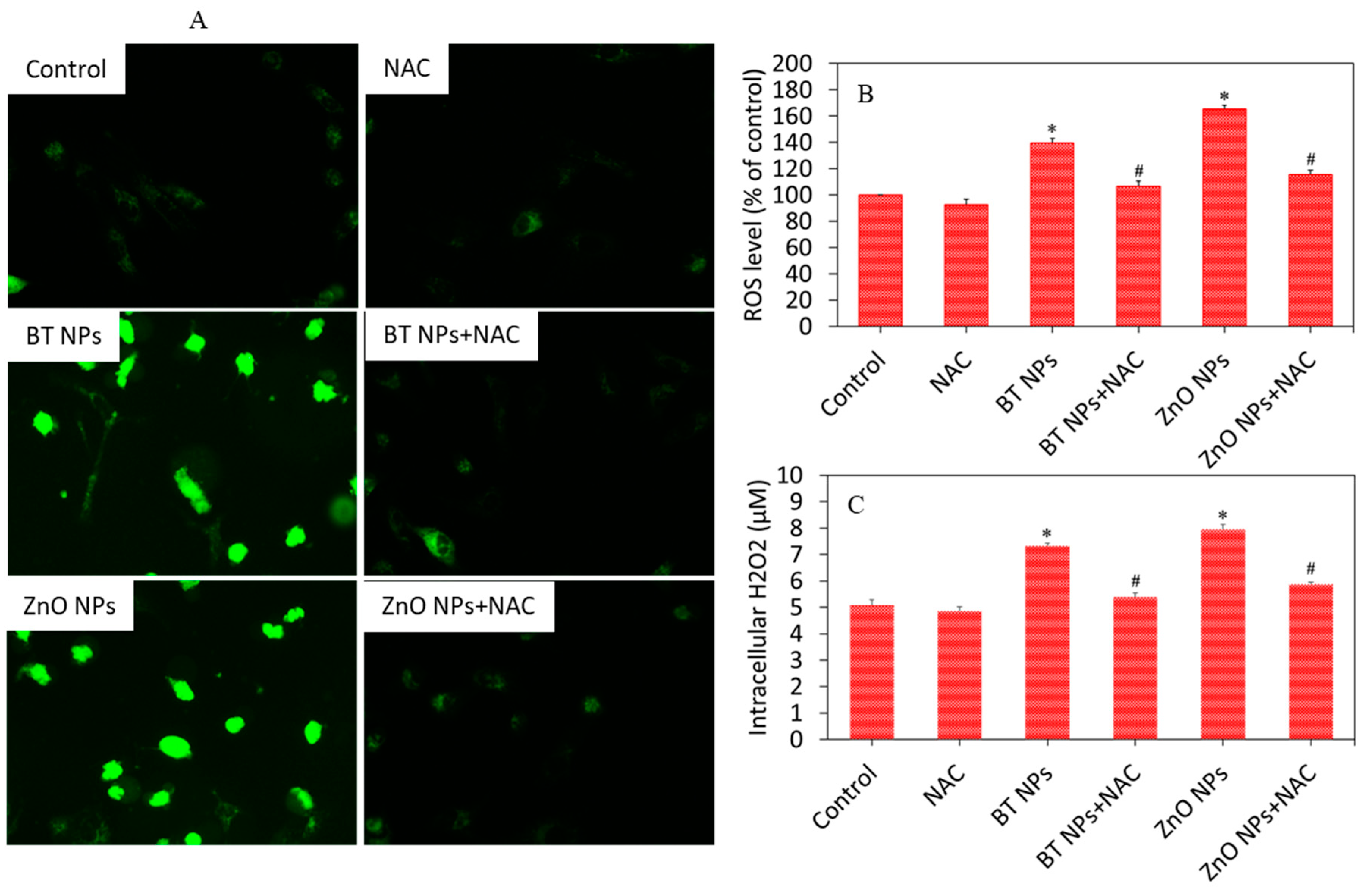 Nanomaterials 10 02309 g005 Nanomaterials 10 02309 g005