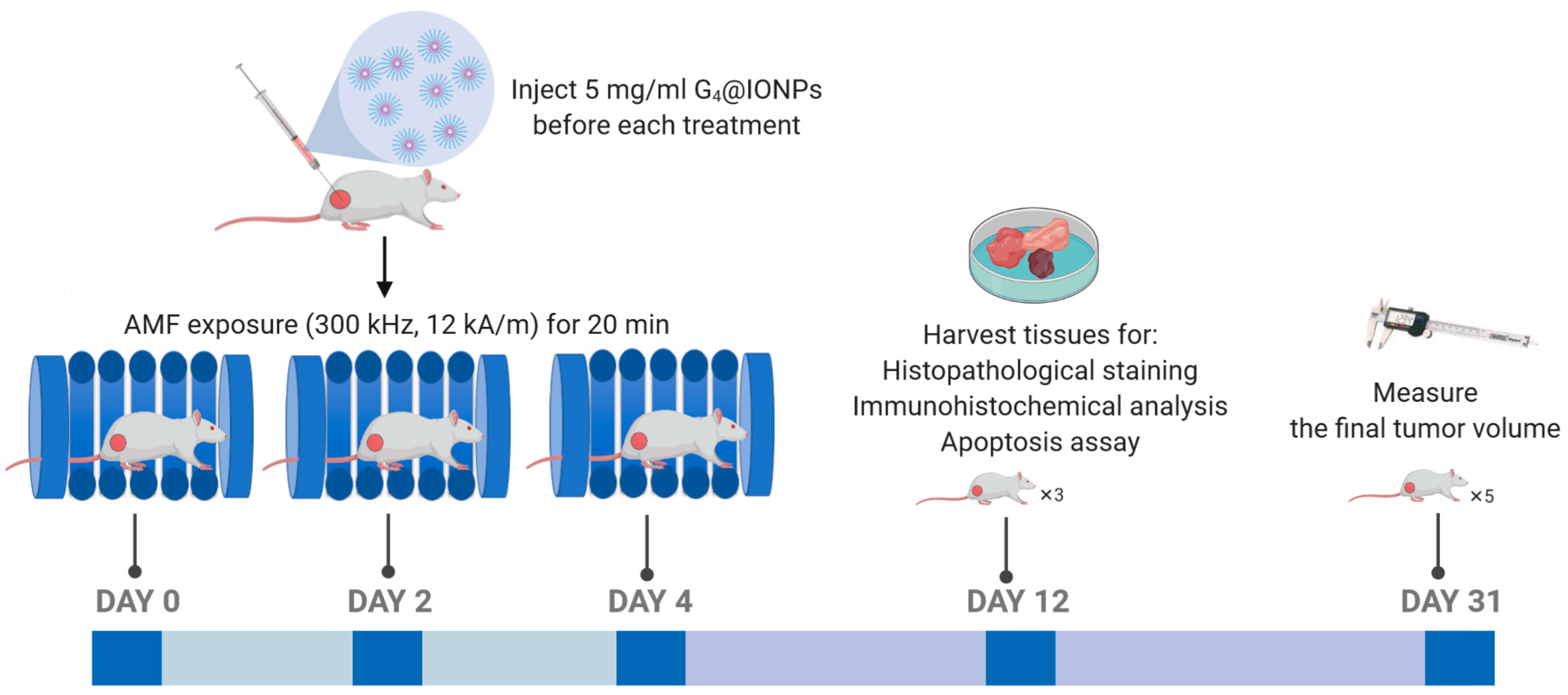 Nanomaterials 10 02310 g001 Nanomaterials 10 02310 g001