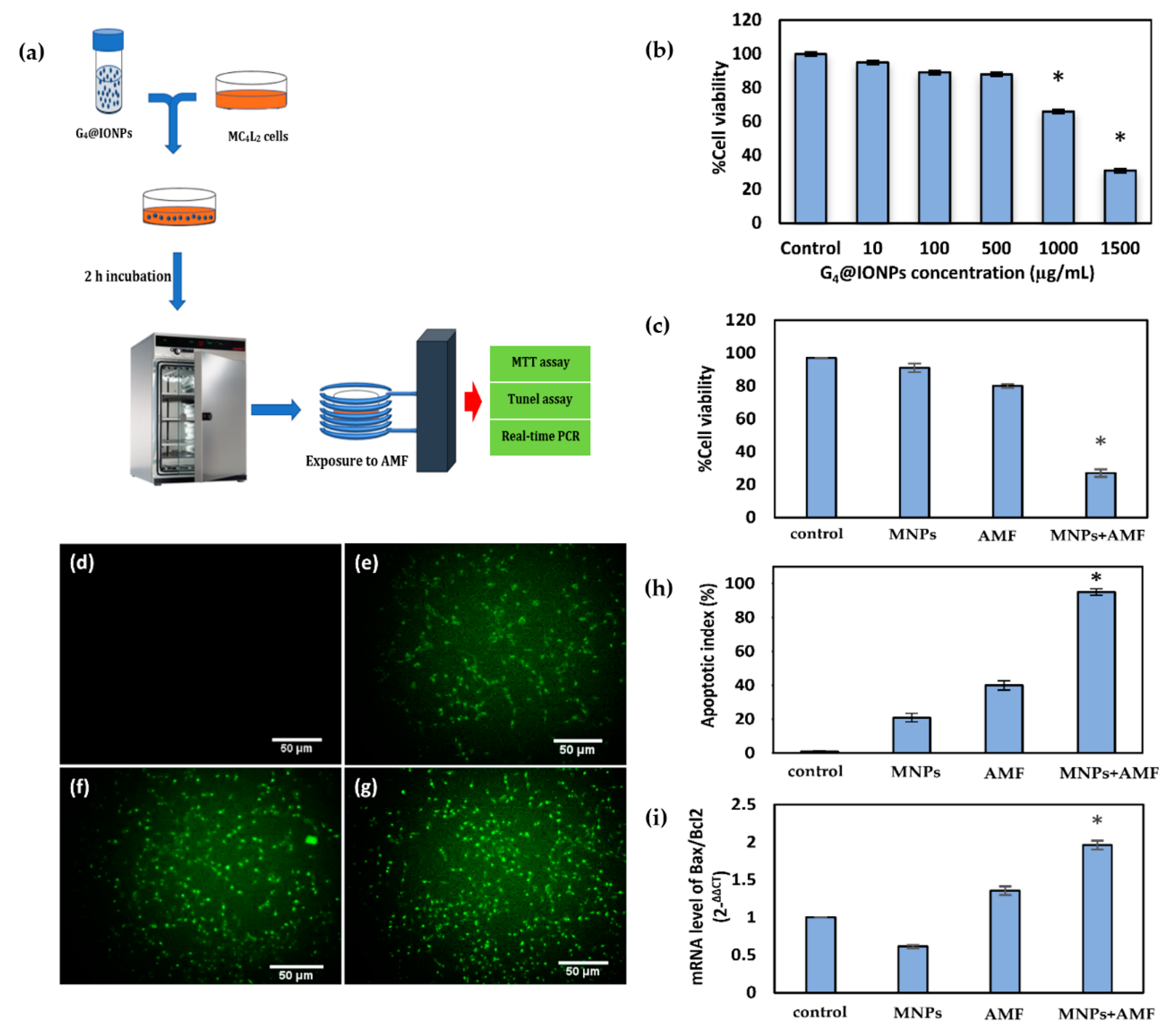 Nanomaterials 10 02310 g003 Nanomaterials 10 02310 g003