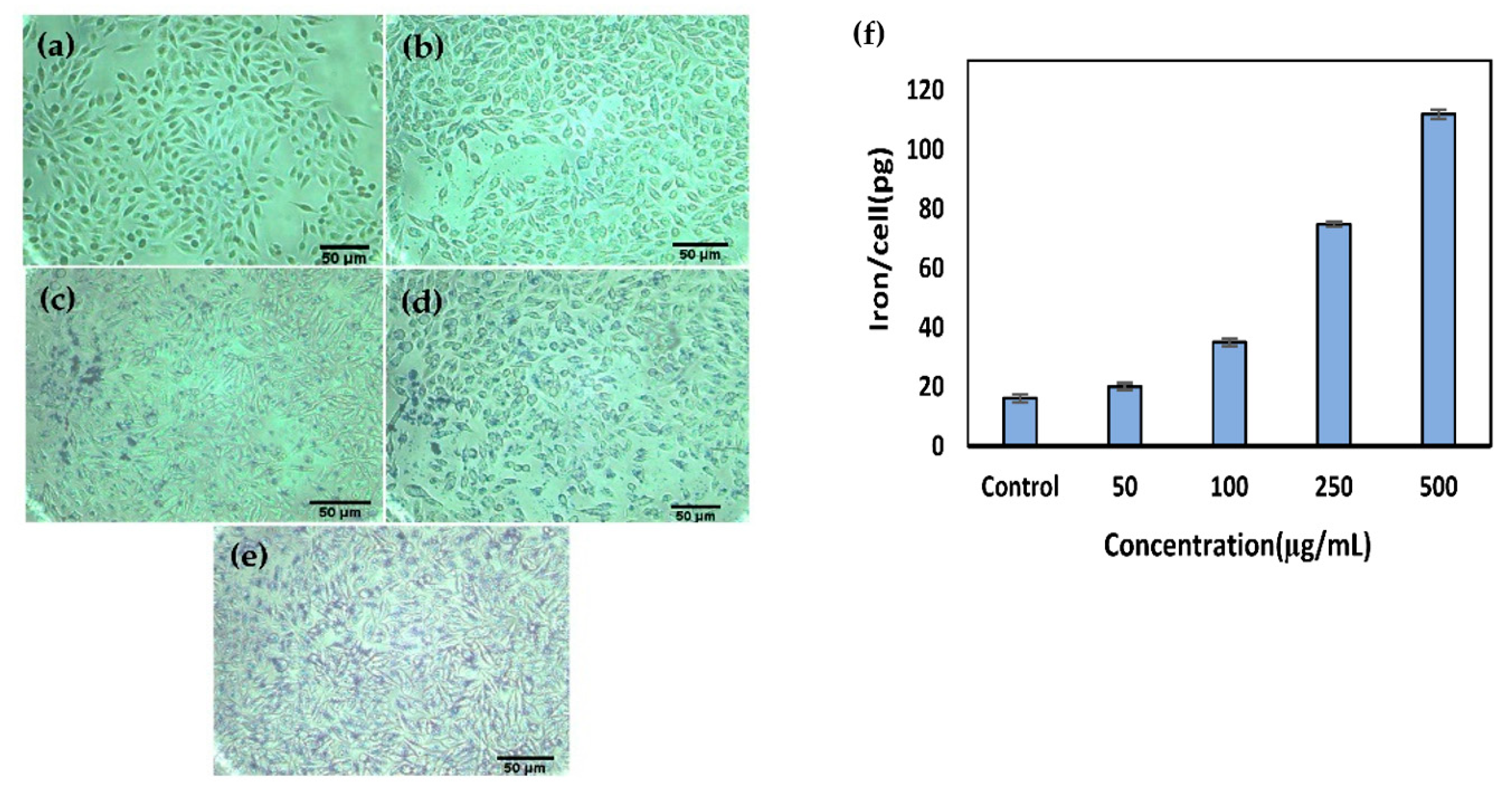 Nanomaterials 10 02310 g004 Nanomaterials 10 02310 g004