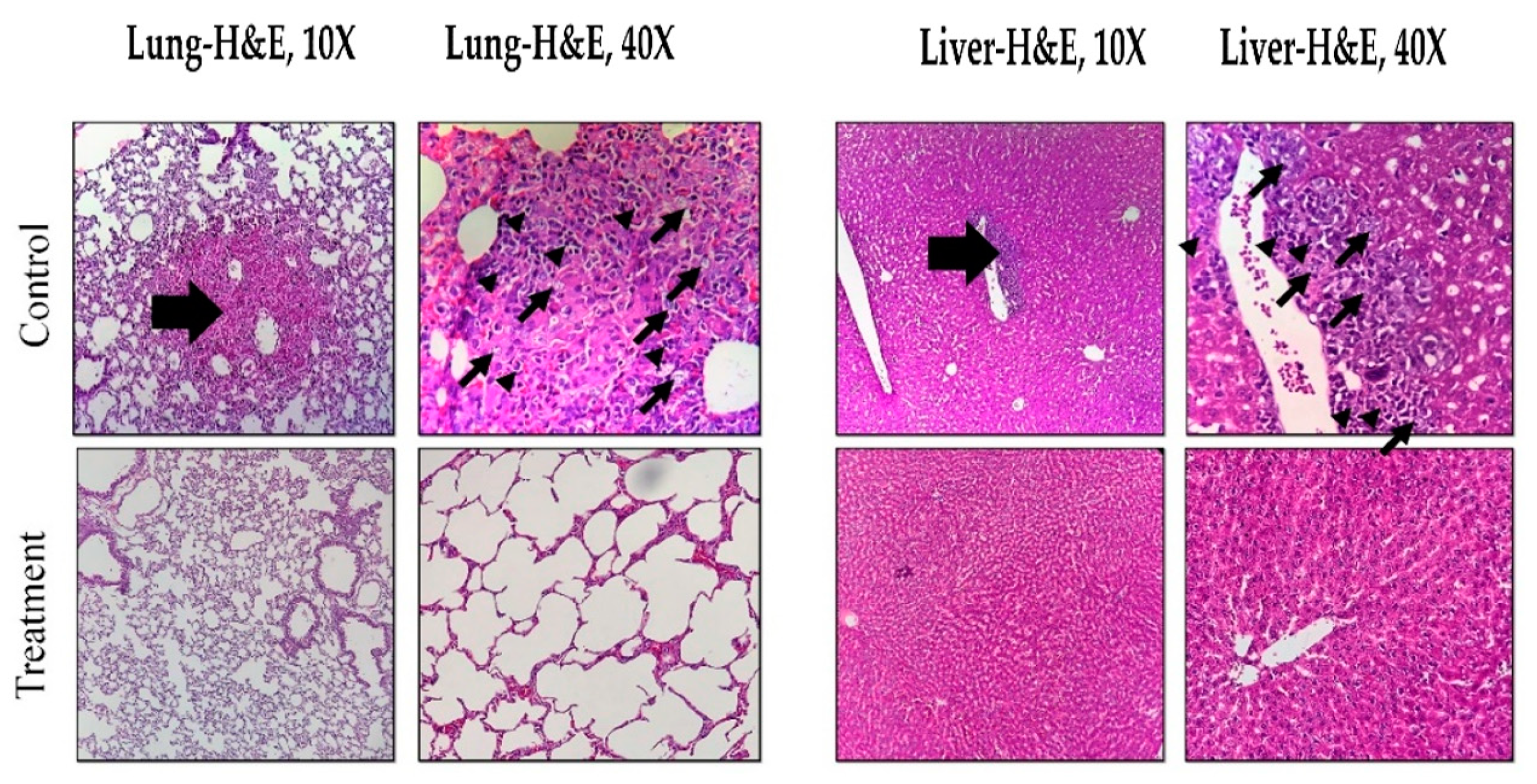 Nanomaterials 10 02310 g005 Nanomaterials 10 02310 g005