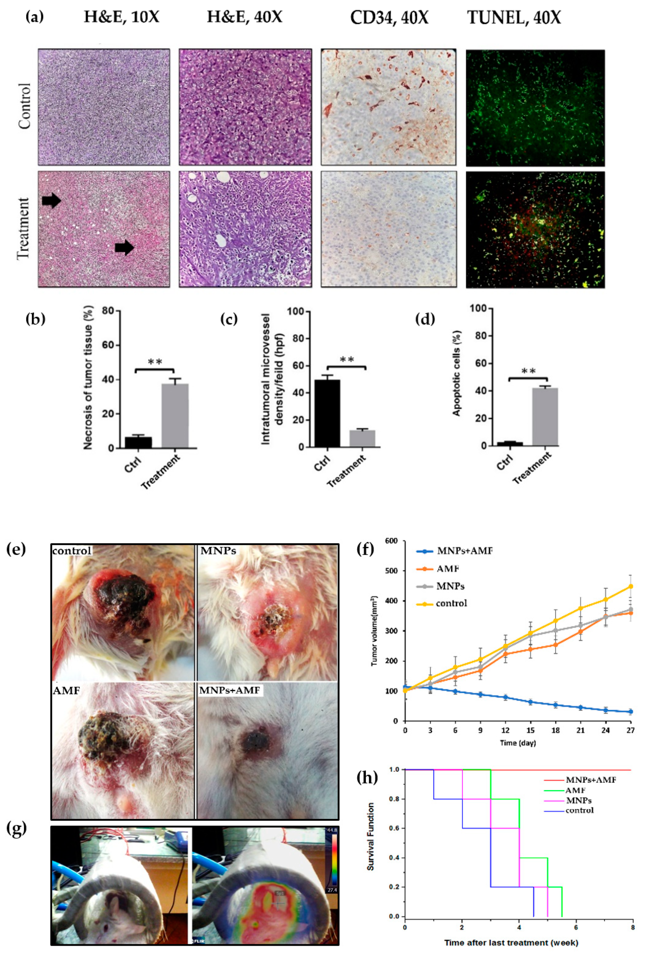Nanomaterials 10 02310 g006 Nanomaterials 10 02310 g006