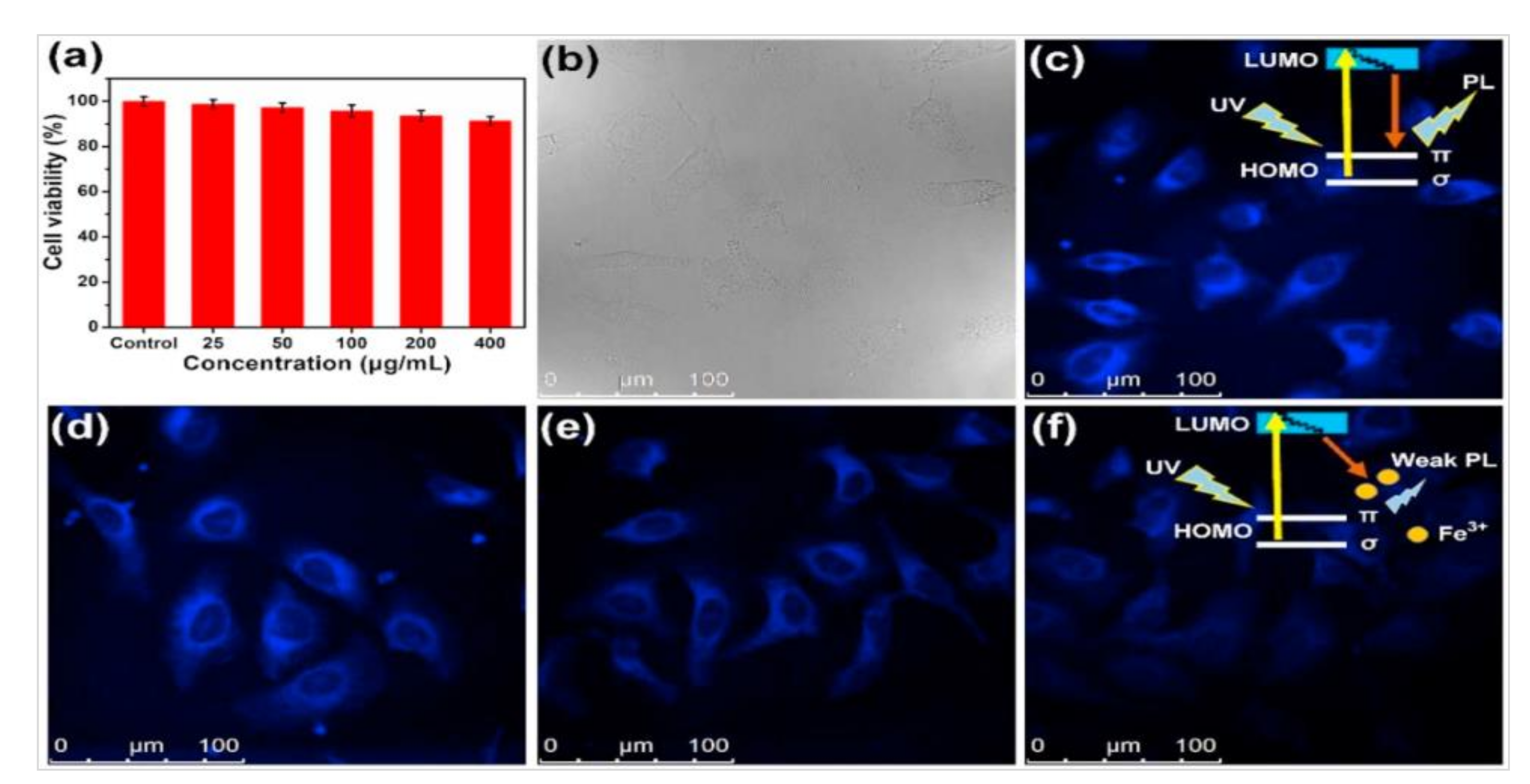 Nanomaterials 10 02316 g012 Nanomaterials 10 02316 g012