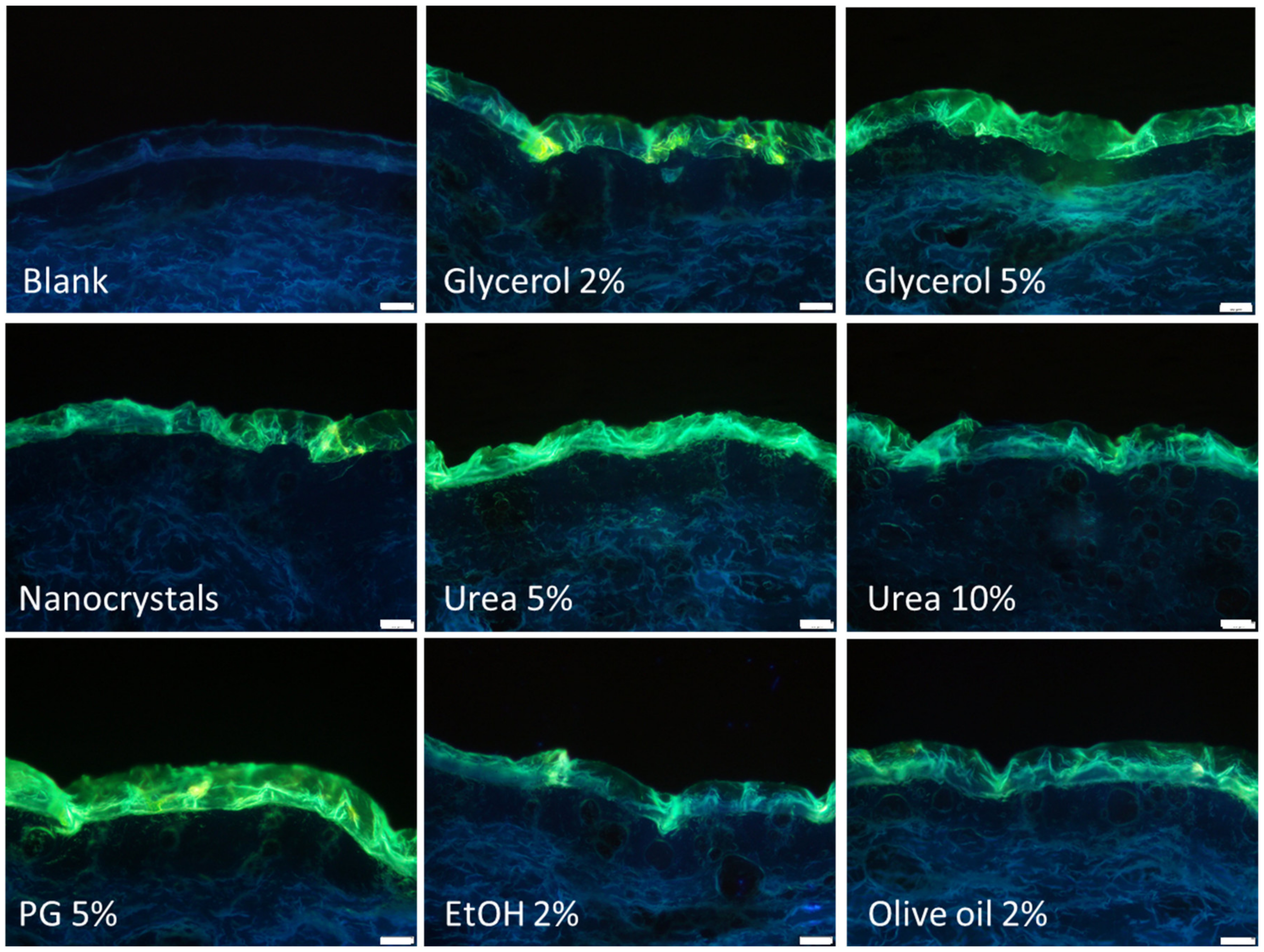 Nanomaterials 10 02323 g002 Nanomaterials 10 02323 g002