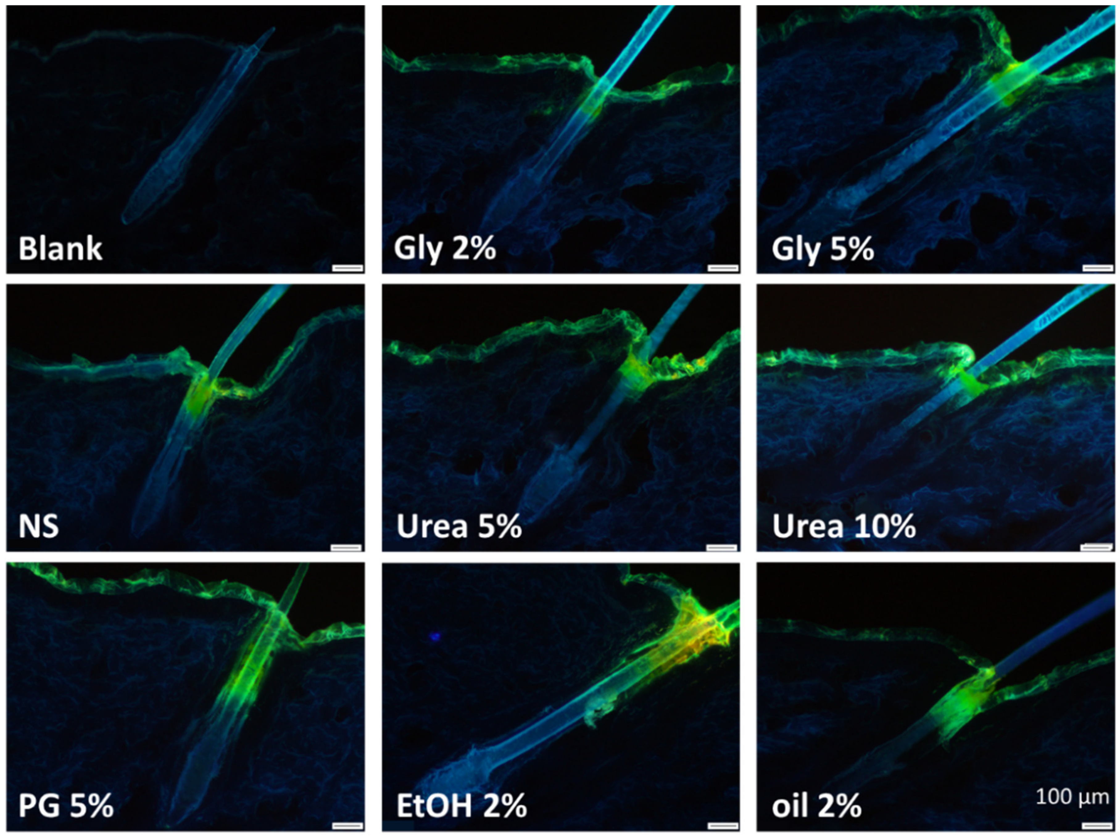 Nanomaterials 10 02323 g010a Nanomaterials 10 02323 g010a