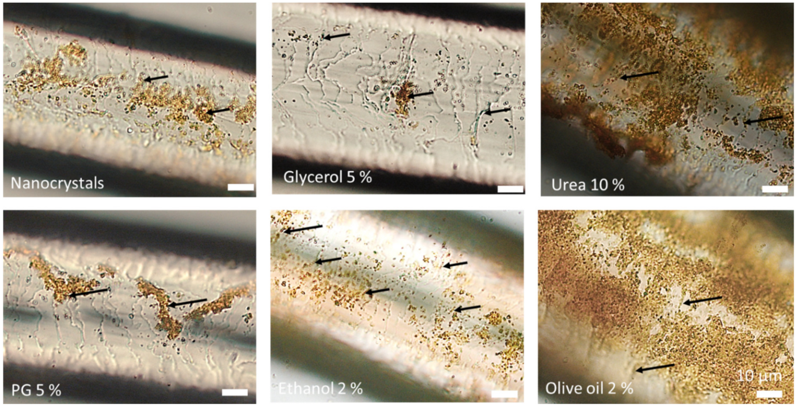 Nanomaterials 10 02323 g015 Nanomaterials 10 02323 g015