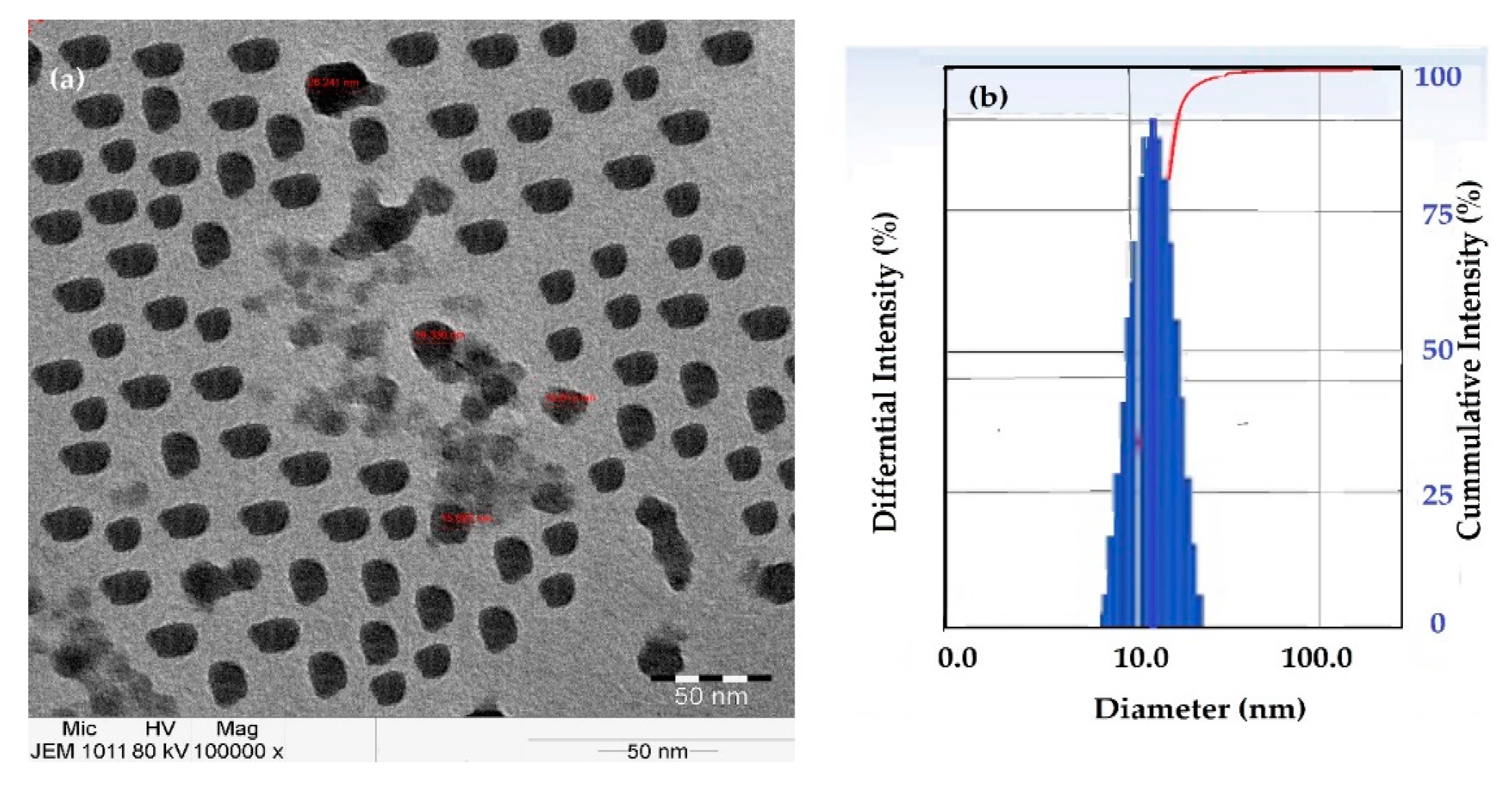 Nanomaterials 10 02325 g005 Nanomaterials 10 02325 g005